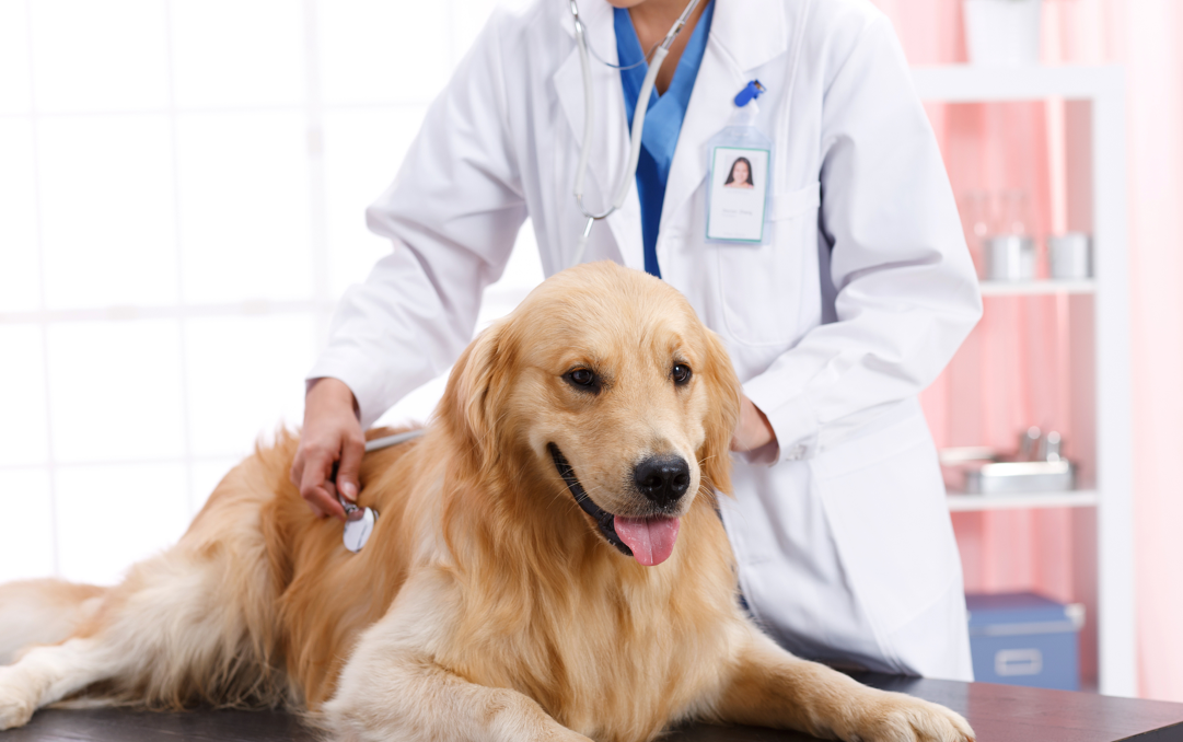 图片来源@视觉中国