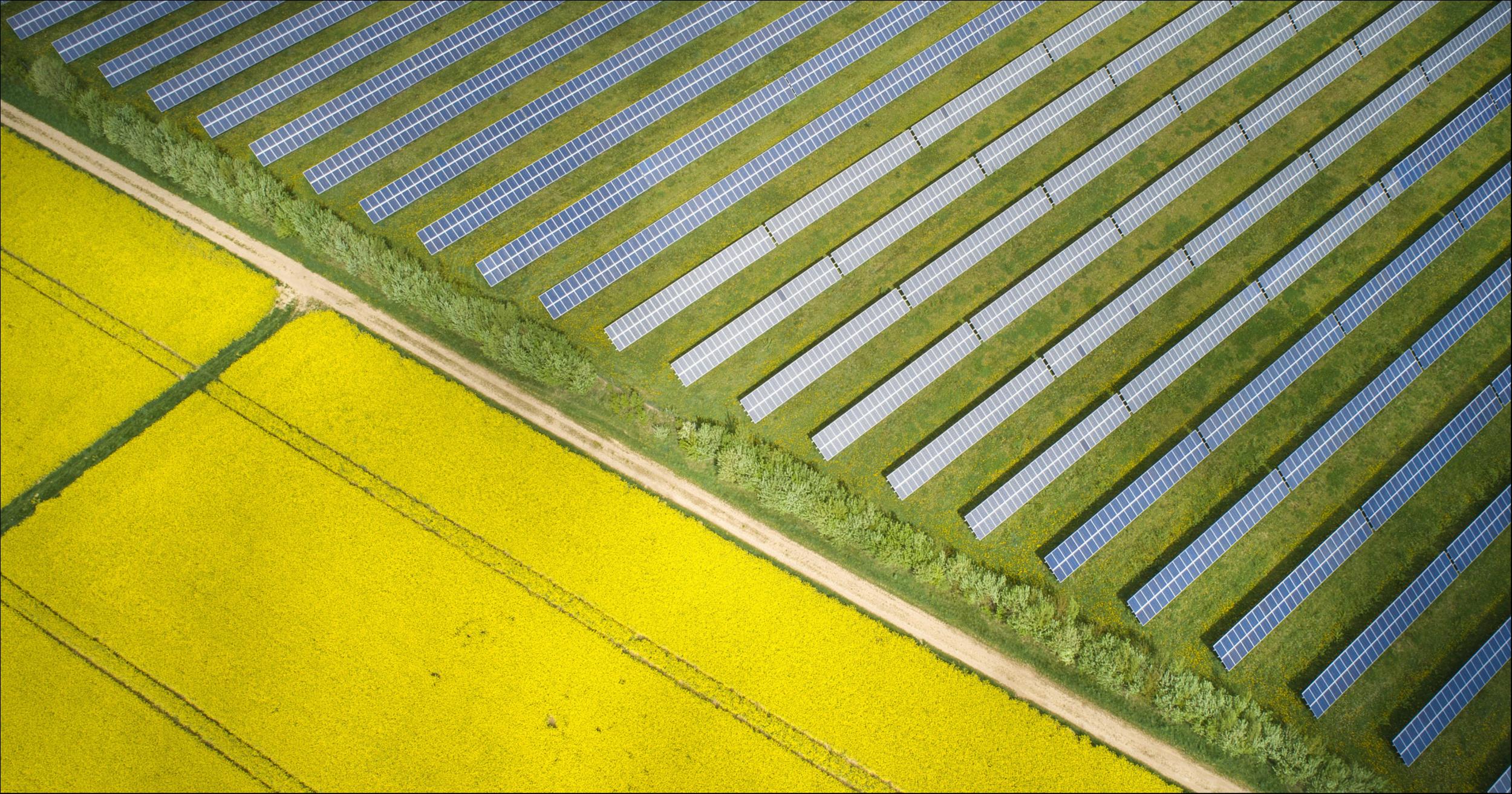 【资本市场农业板块周报】养殖板块走强，新五丰、巨星农牧涨超20%；水产品价格走低，渔业板块下跌；7只个股涨超10%