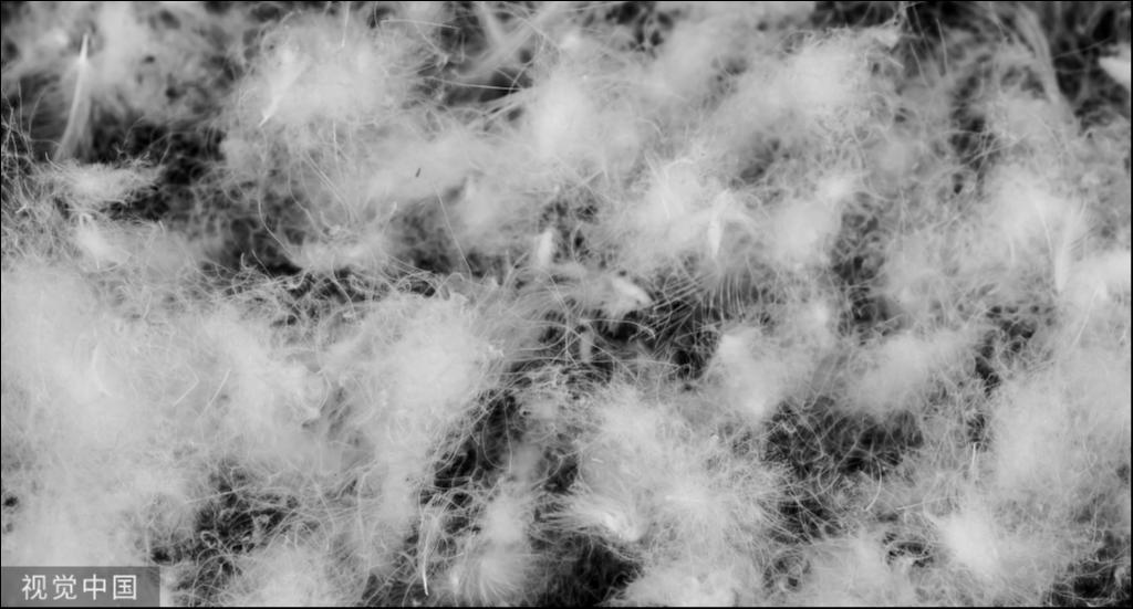 古麒绒材冲刺深市主板：收入攀升难掩资紧张，募资押注扩产存隐忧 | IPO观察