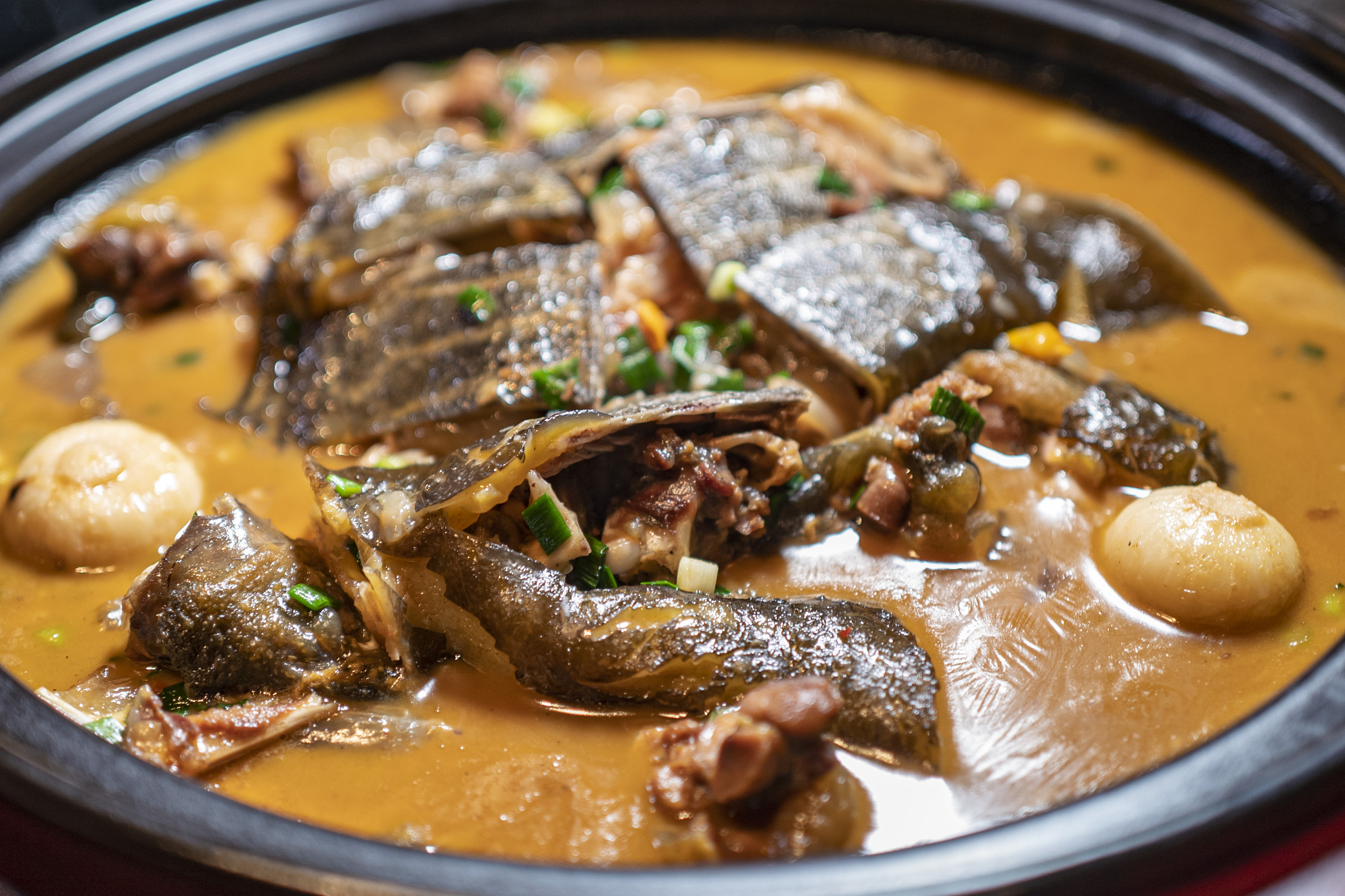 小众品类兴起，甲鱼预制菜凭什么走俏餐桌？