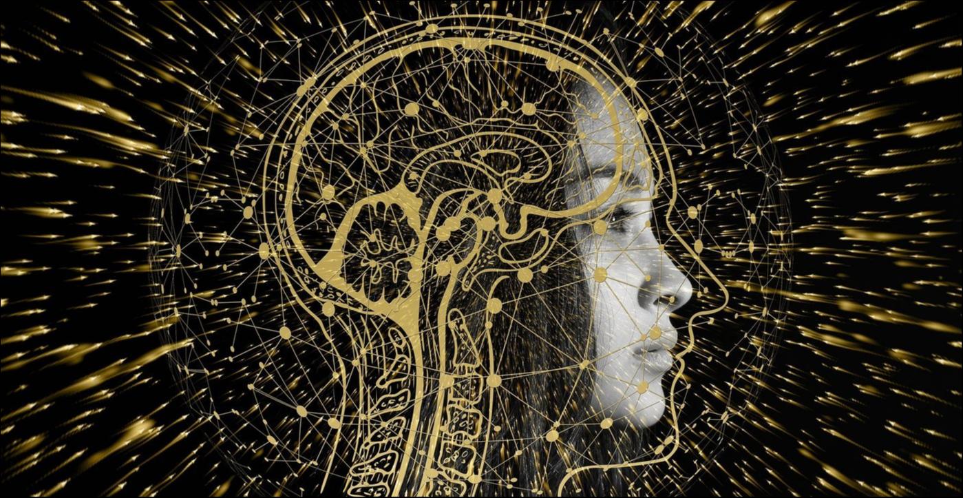 图片来源@视觉中国