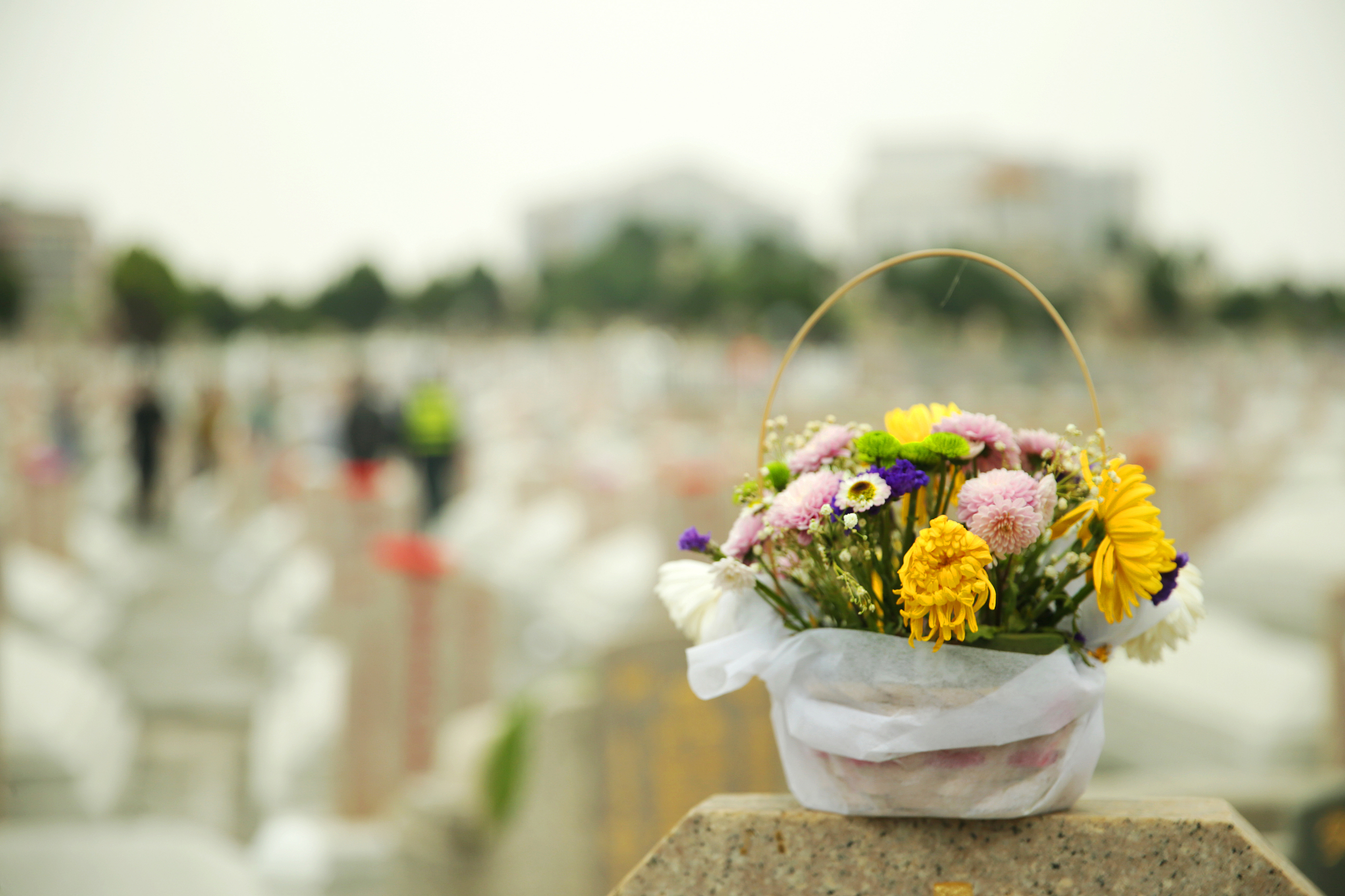 图片来源@视觉中国