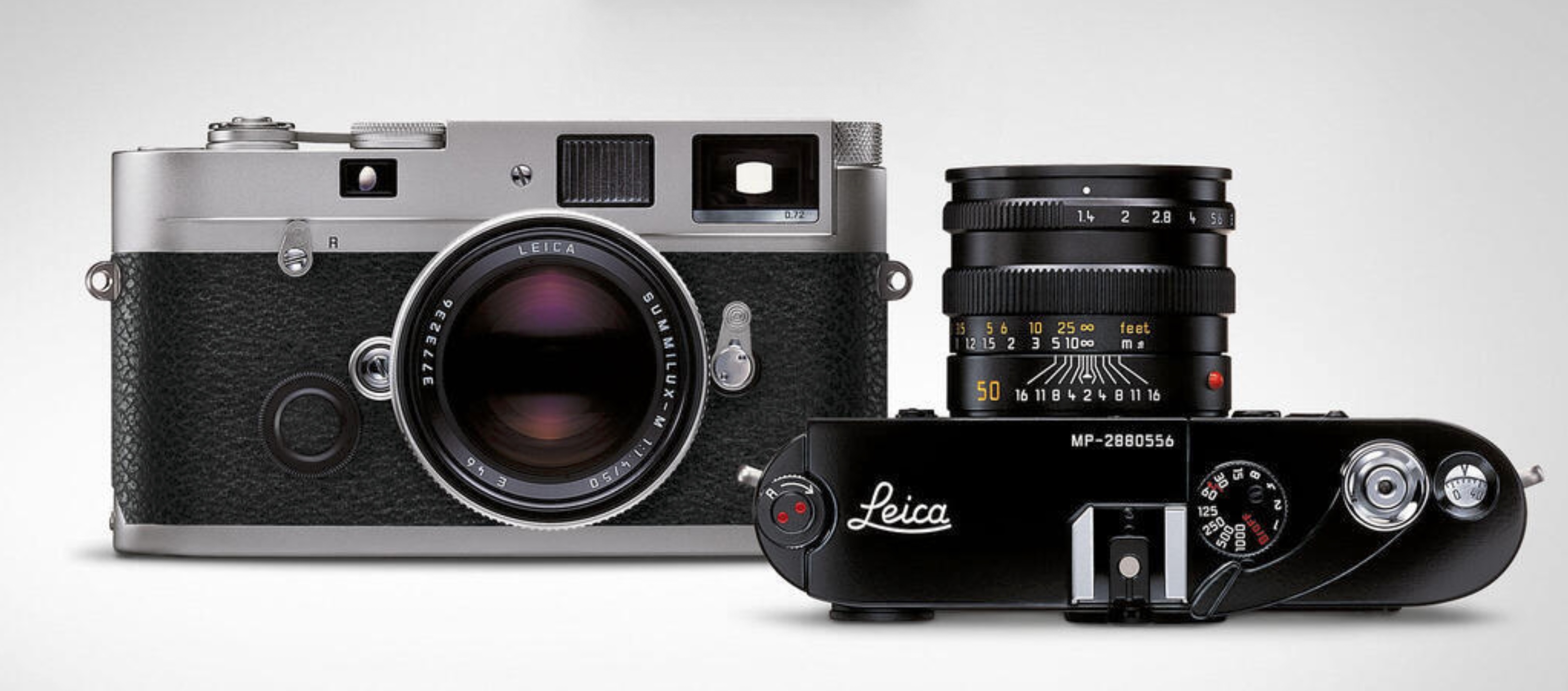 图片来源@视觉中国