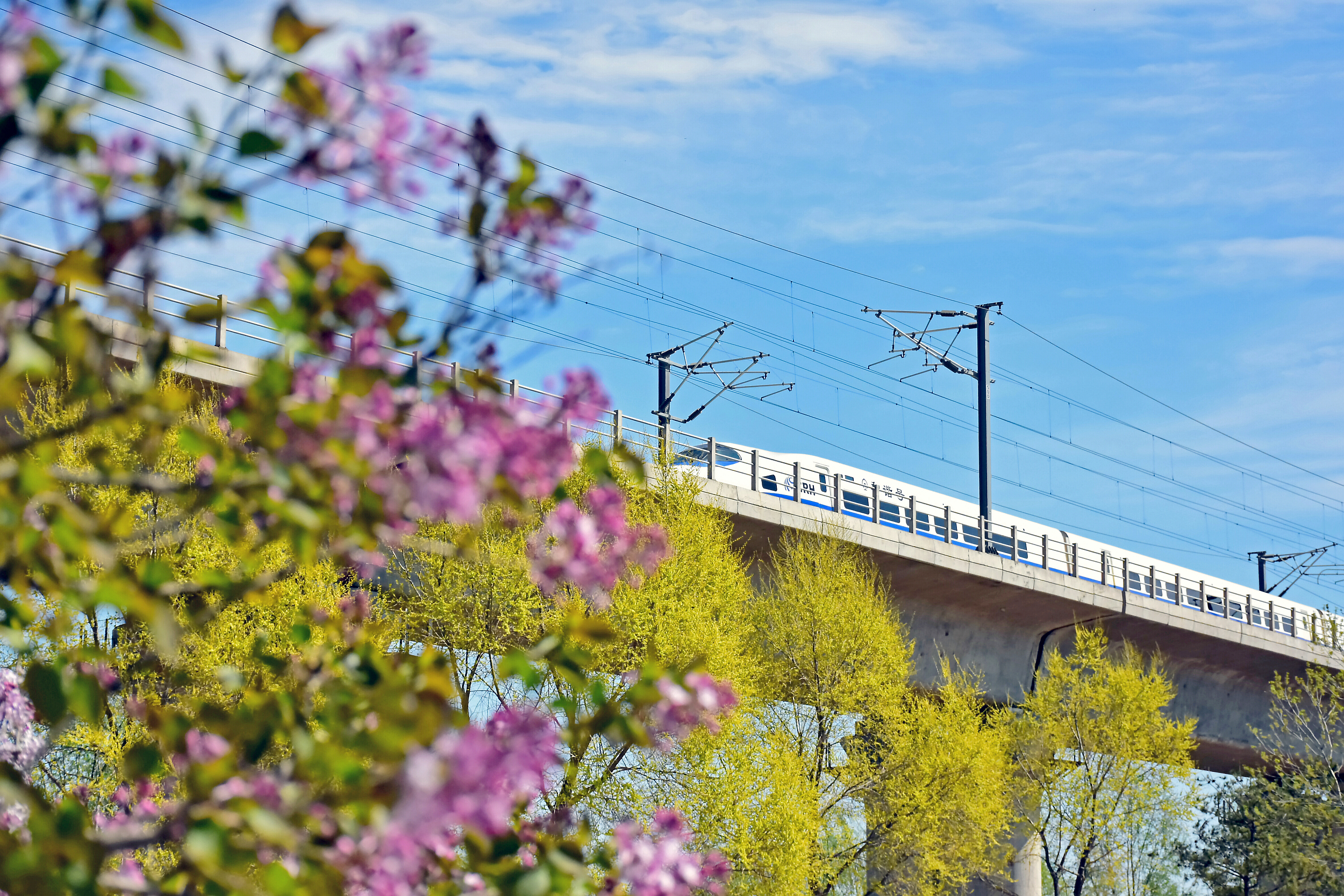 图片来源@视觉中国