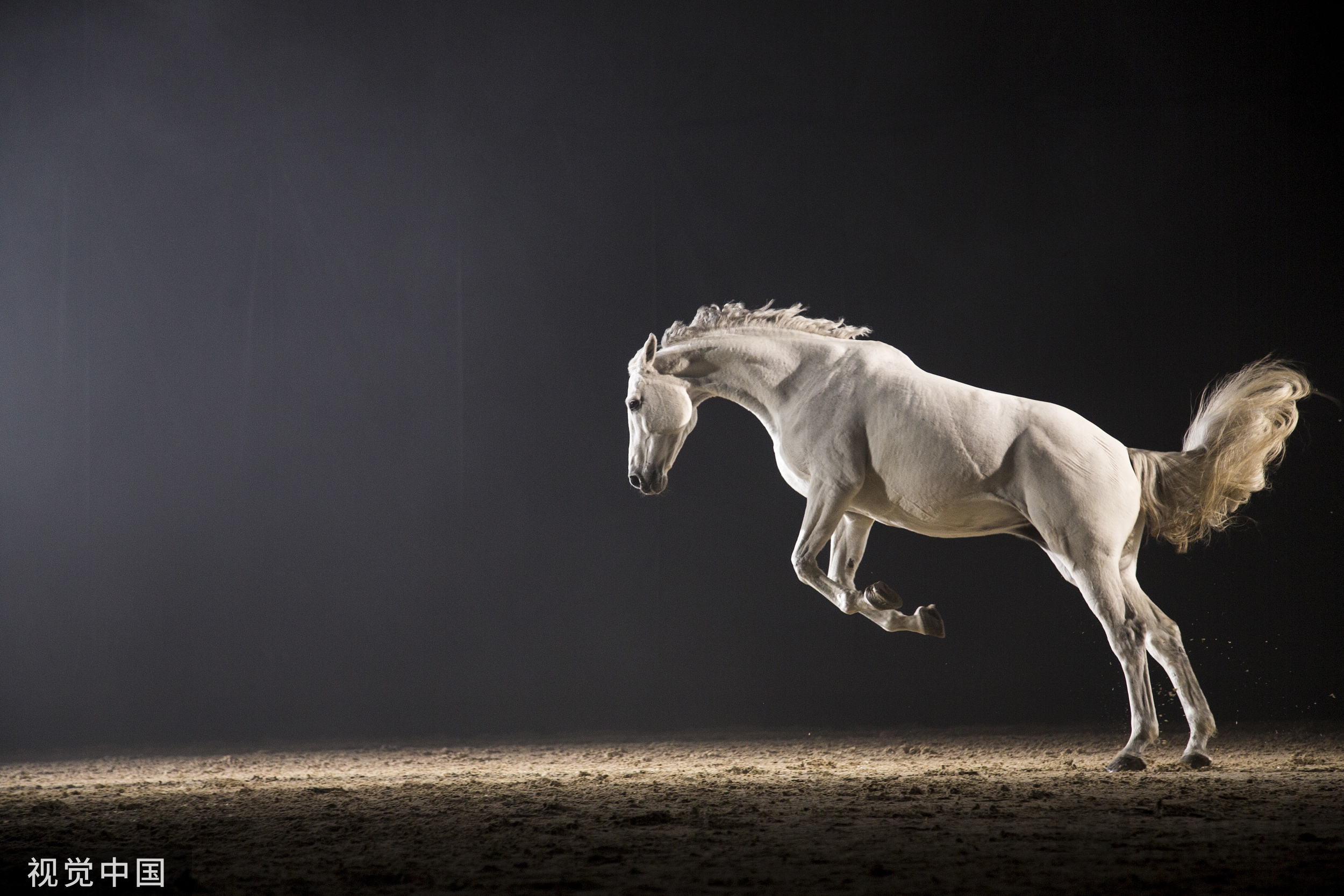 Q1成绩单已出，投资人必须知道的数据透视