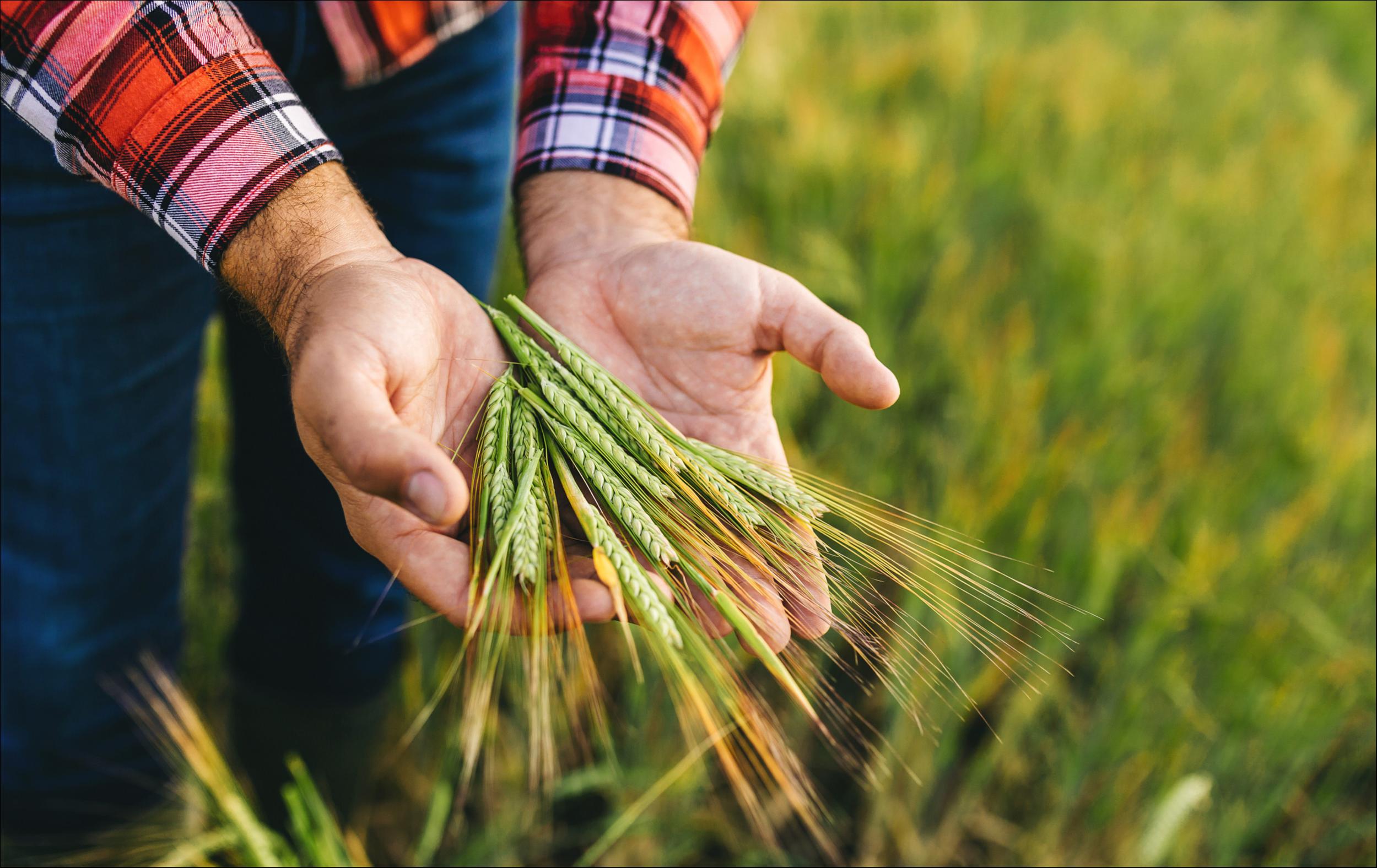 【资本市场农业板块周报】节后第一周，调味品企业领涨；净利减九成，开创国际跌超10%；一季度猪企大面积亏损，养殖业板块大跌