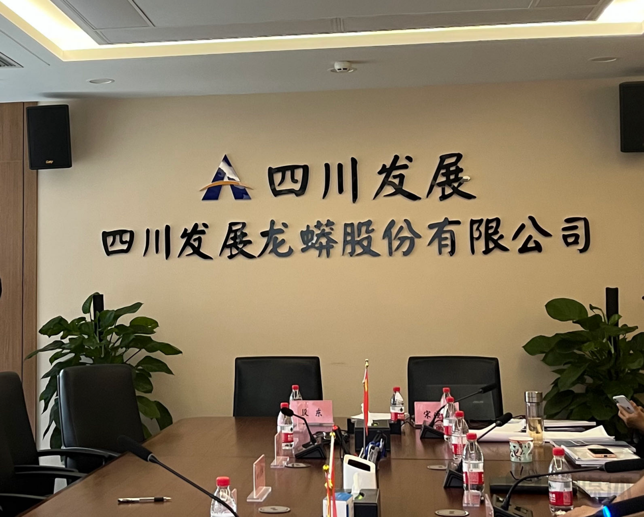 川发龙蟒：磷酸铁锂等项目建设“不打快牌” | 直击股东会