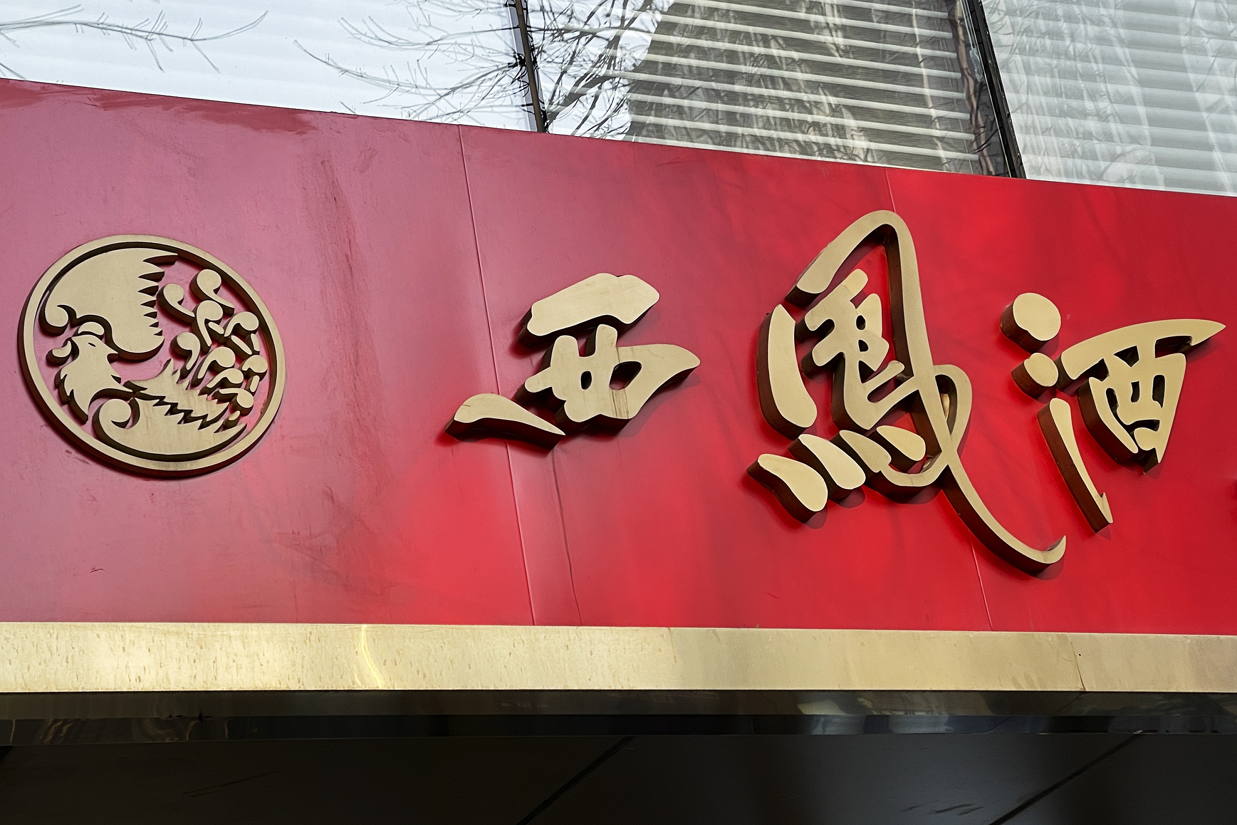 西凤酒张周虎，少壮派的挑战与机遇