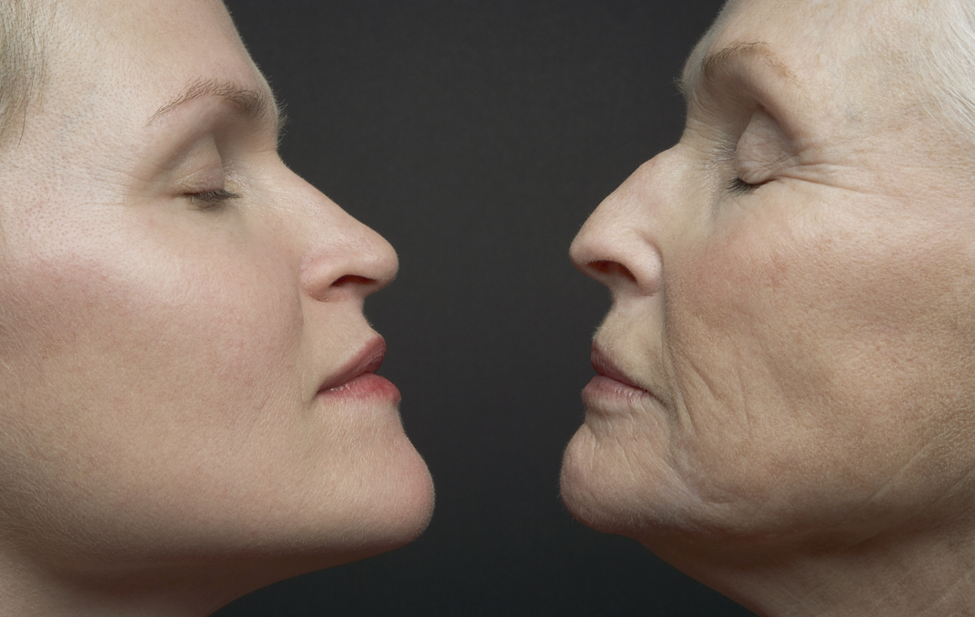 图片来源@视觉中国