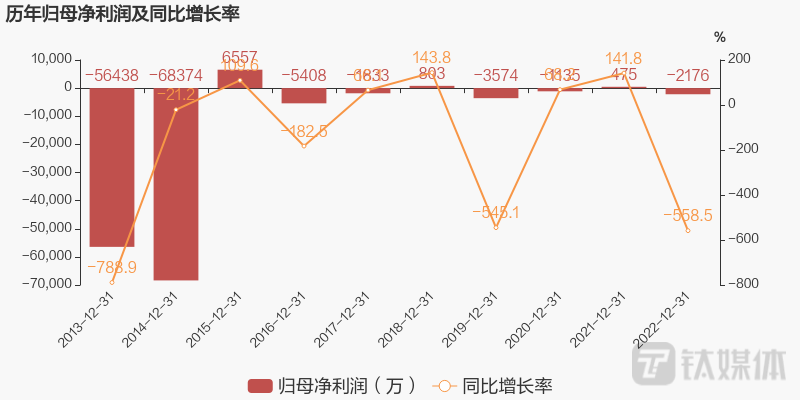 中科云网历年净利润情况