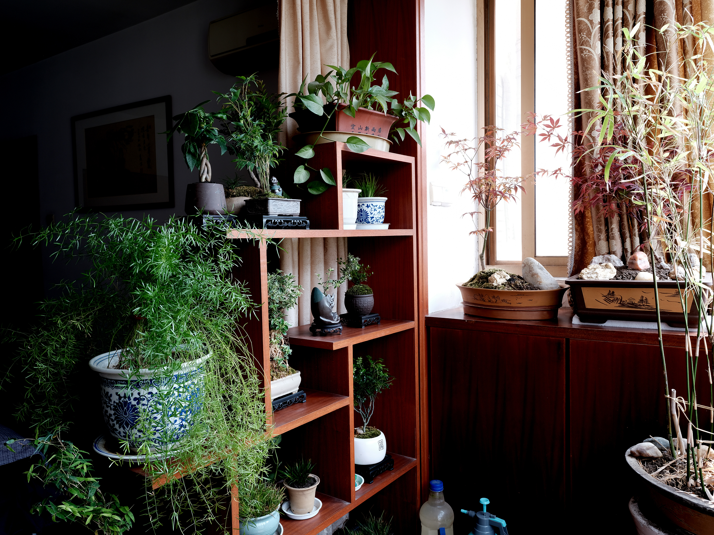 城市新农人，撑起了一个170亿的绿植赛道