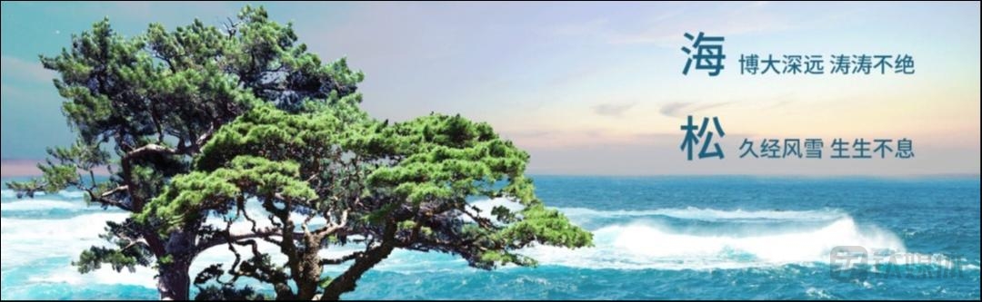 星辰新能获海松资本独家Pre-A轮投资 共创长时储能绿色未来 | 海松·企业圈