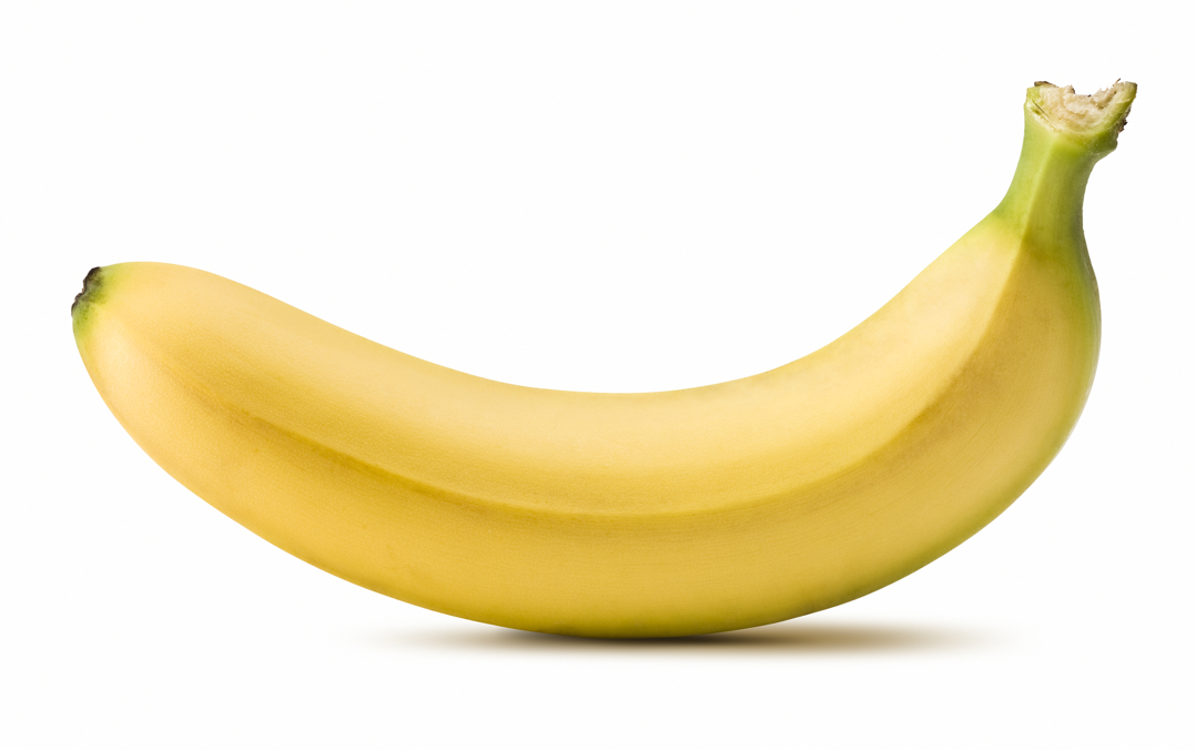 大脑如何认识一根香蕉？用类脑模型发现语义的神经密码