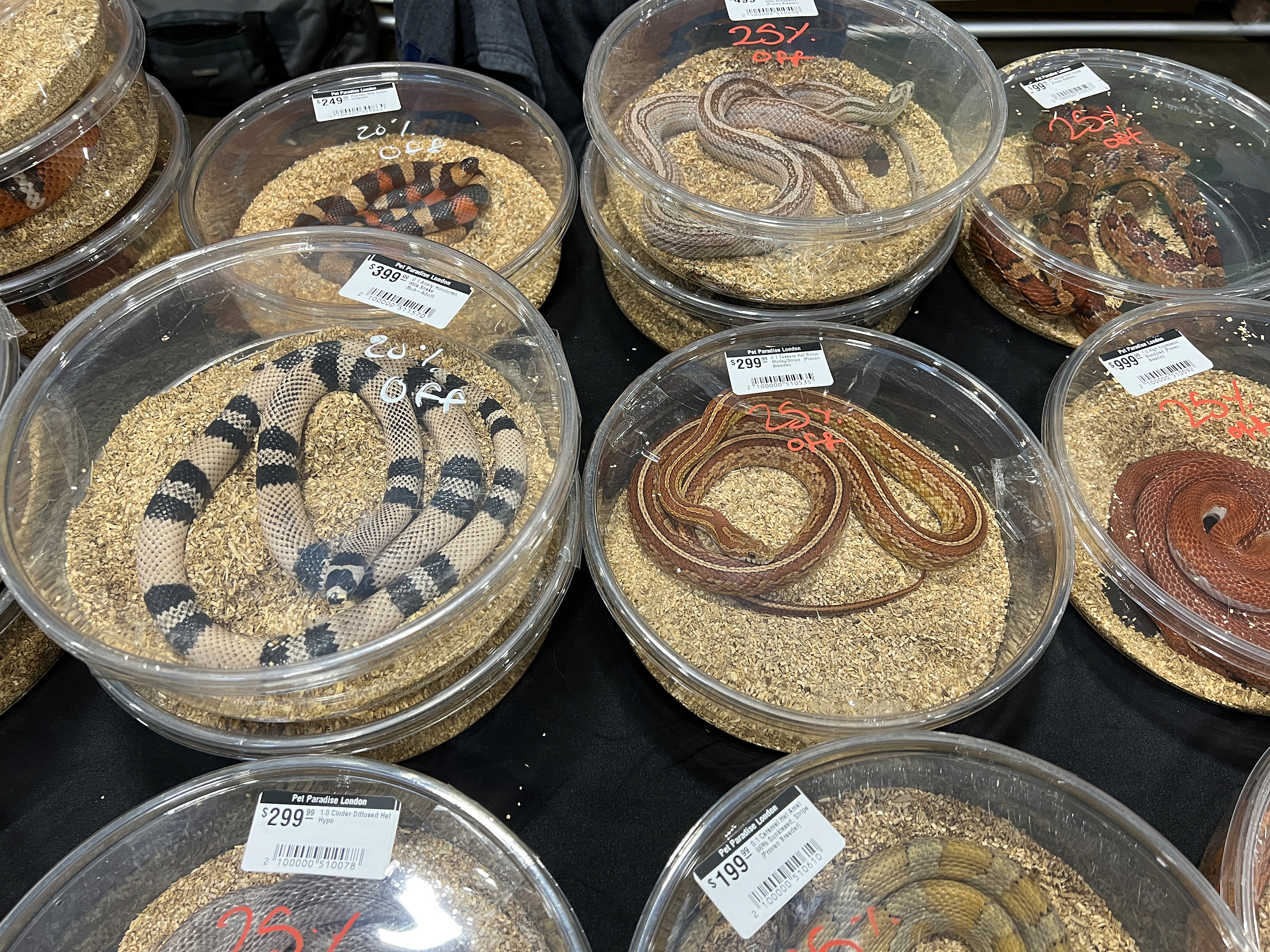 图片来源@视觉中国