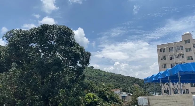 深圳白芒村的过去现在和未来