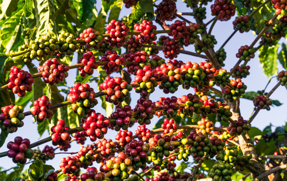 图片来源@视觉中国