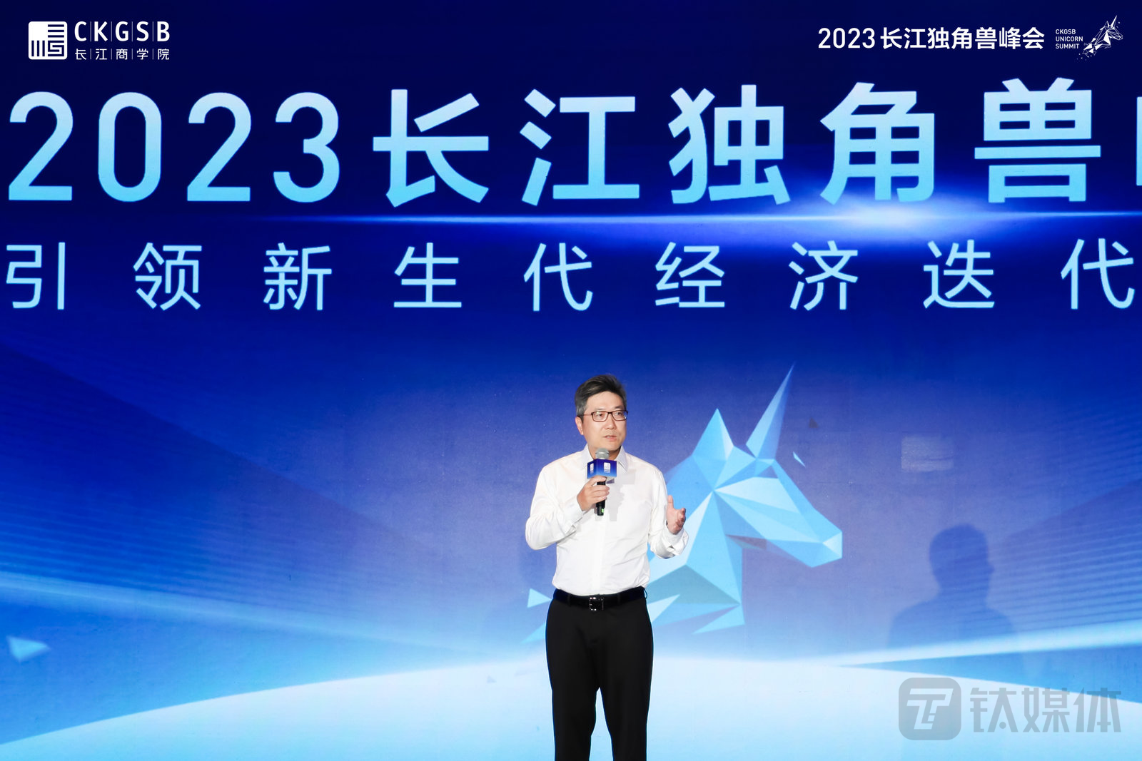 议题主席滕斌圣教授发表总结与点评