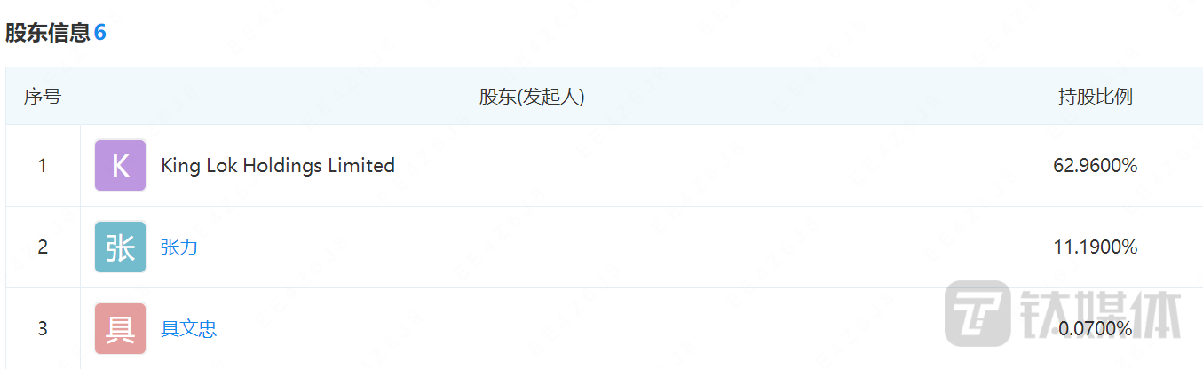 力量发展集团持股比