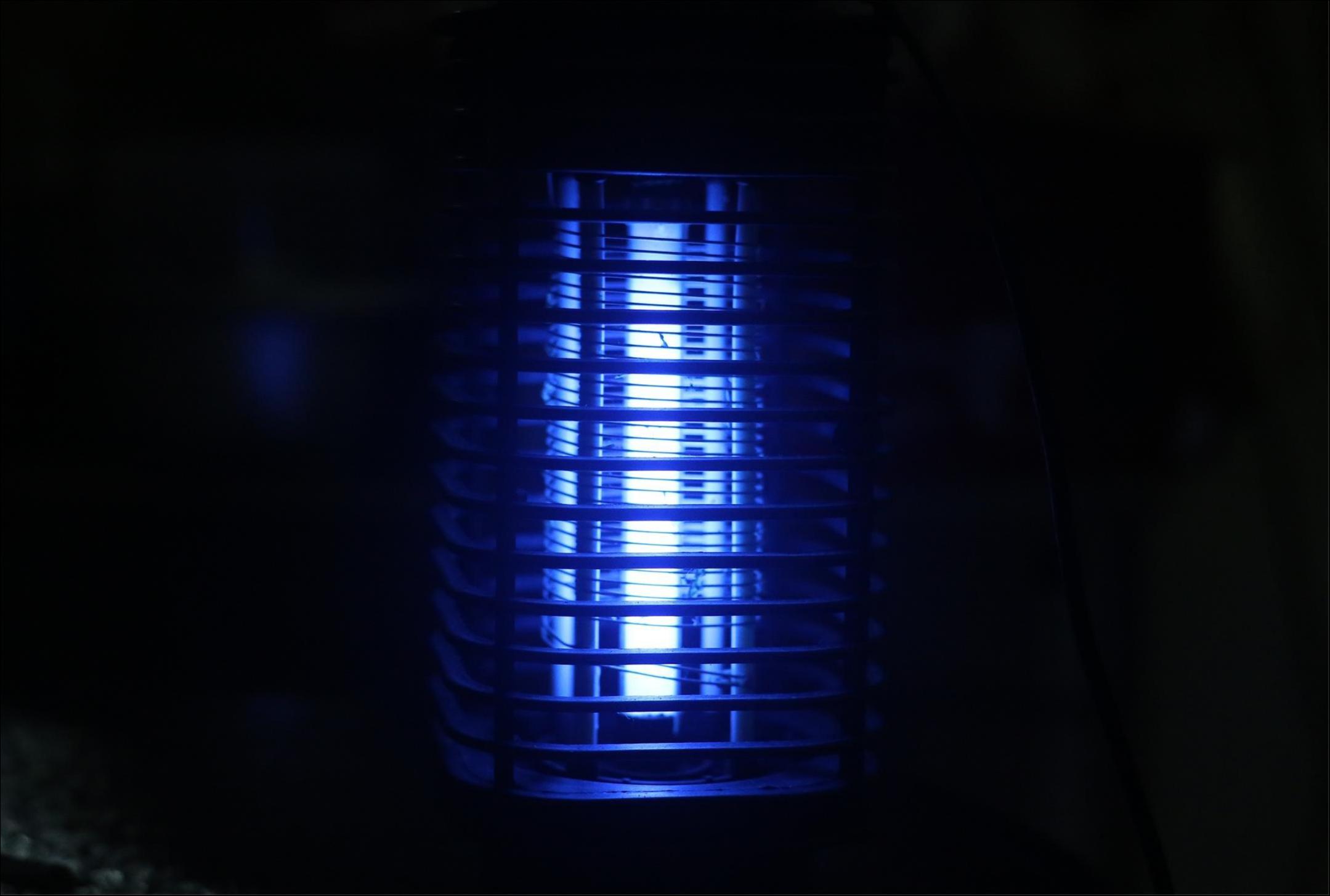 图片来源@视觉中国