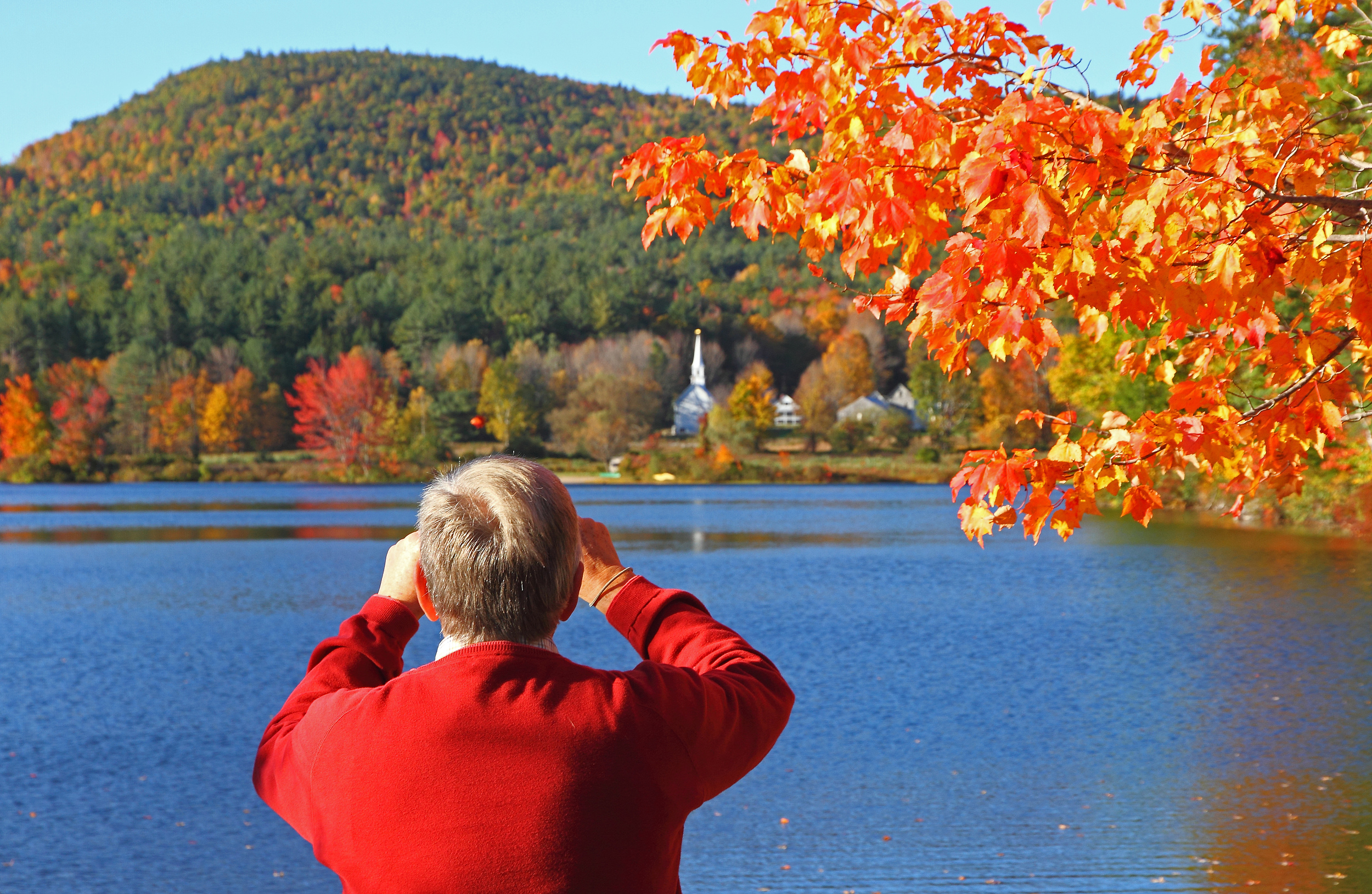 图片来源@视觉中国