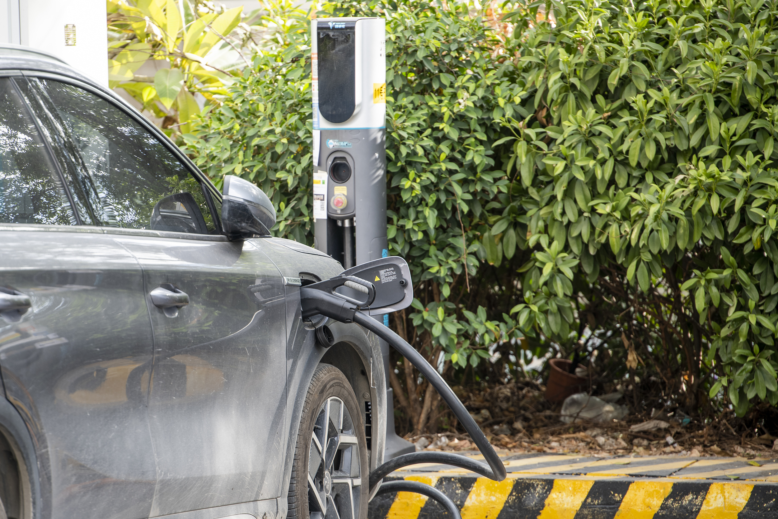 图片来源@视觉中国