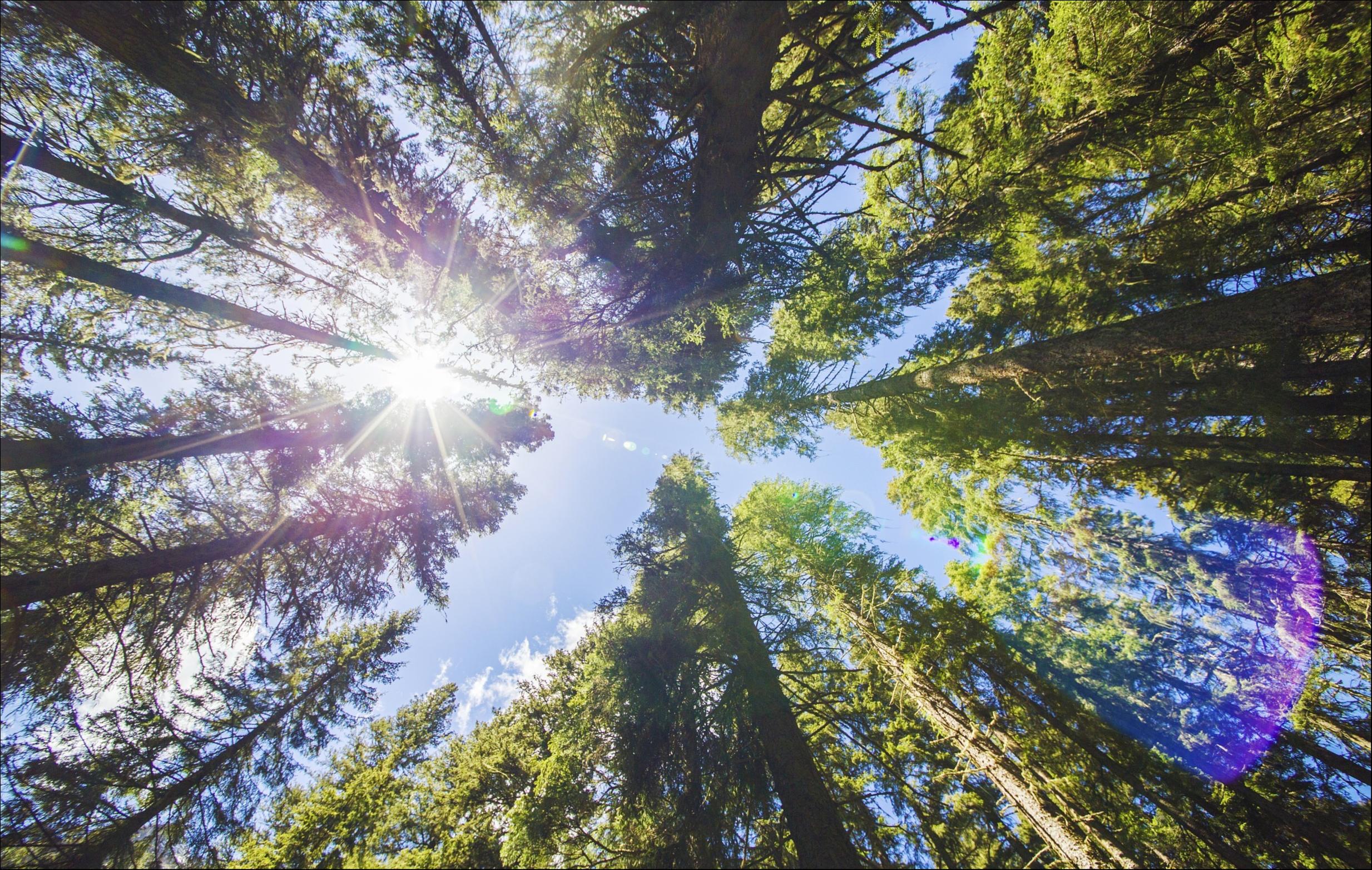 【钛晨报】深化集体林权制度改革，鼓励各类企业参与林业投资经营；蔚来称目前没有任何可报告的融资活动；三部门：重点打击网暴恶意发起者推波助澜者