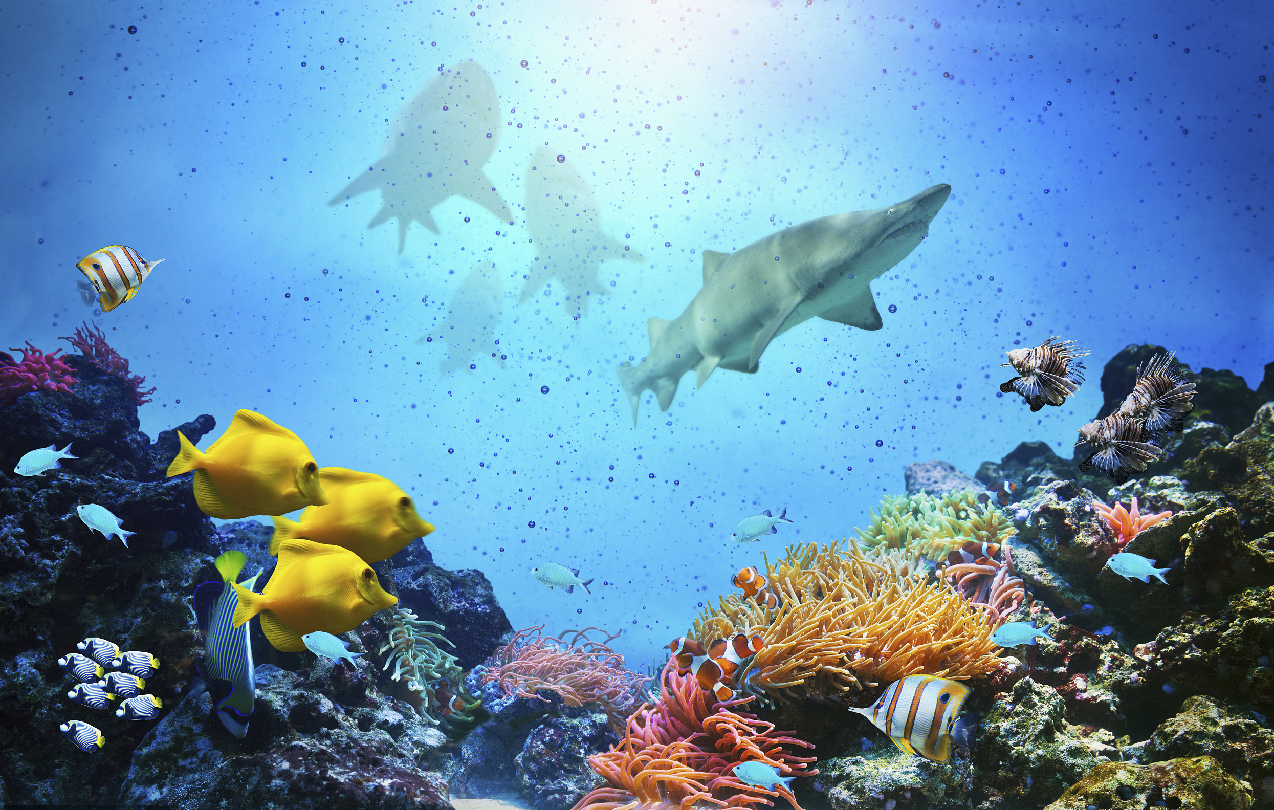 图片来源@视觉中国