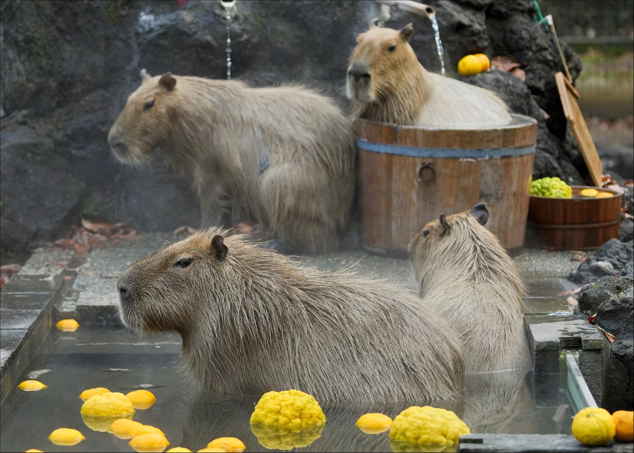 图片来源@视觉中国