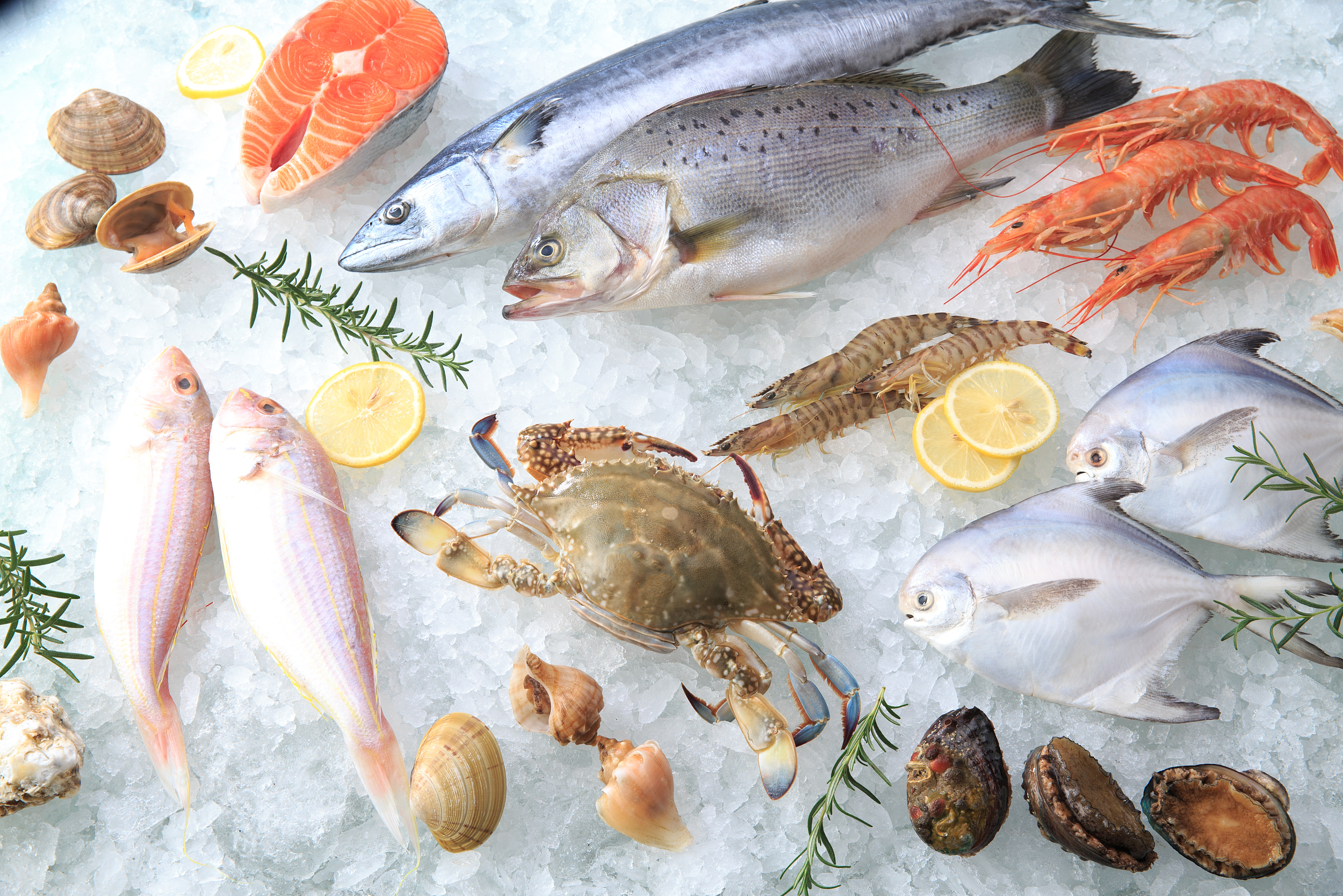 图片来源@视觉中国