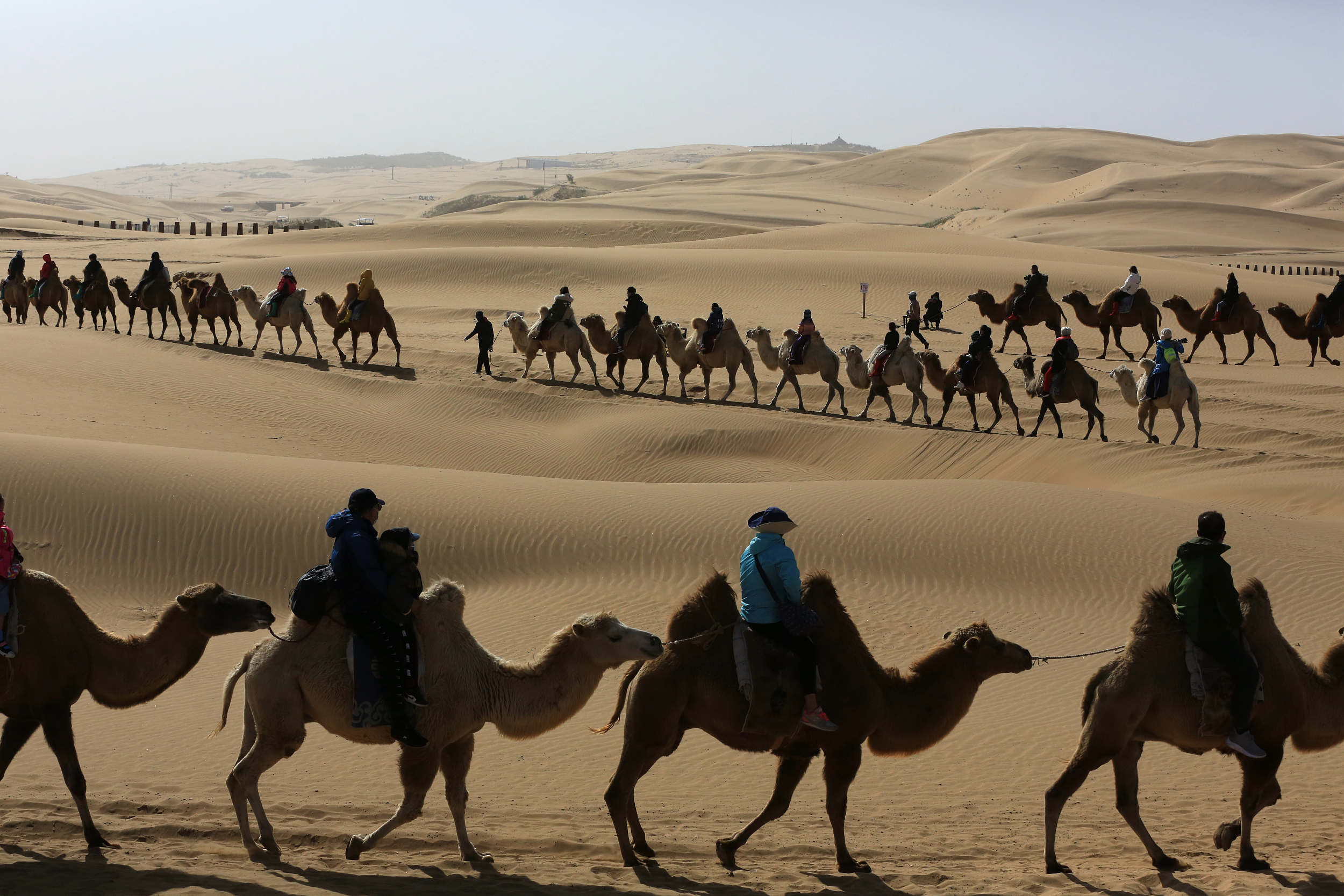 图片来源@视觉中国