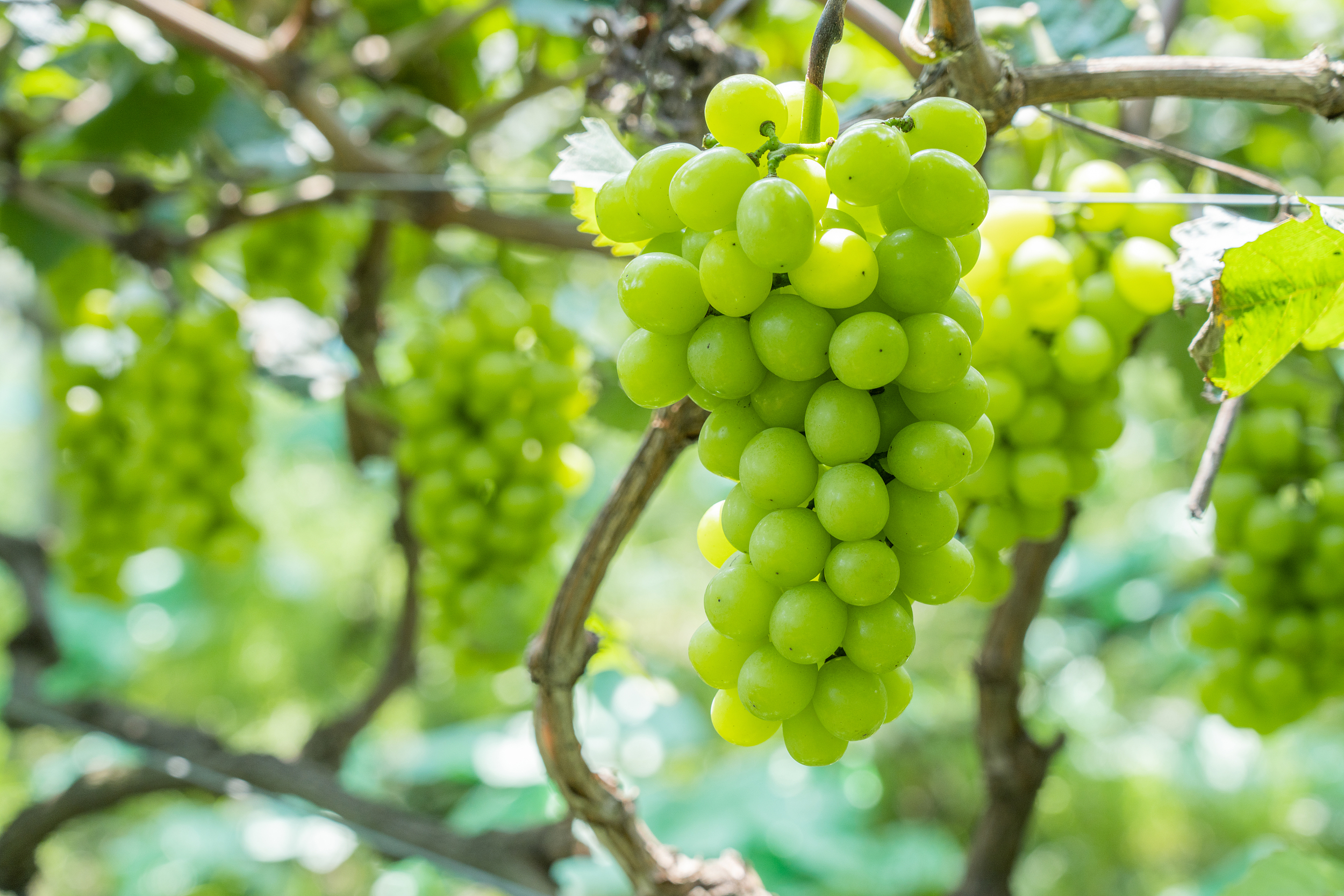 图片来源@视觉中国