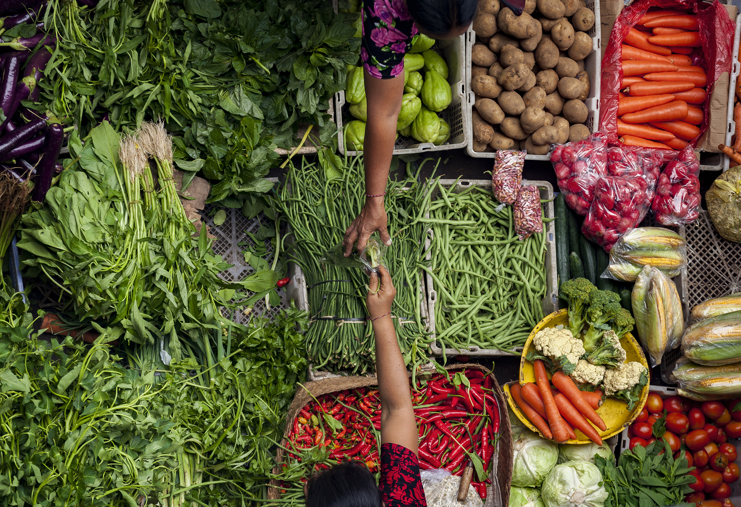 图片来源@视觉中国