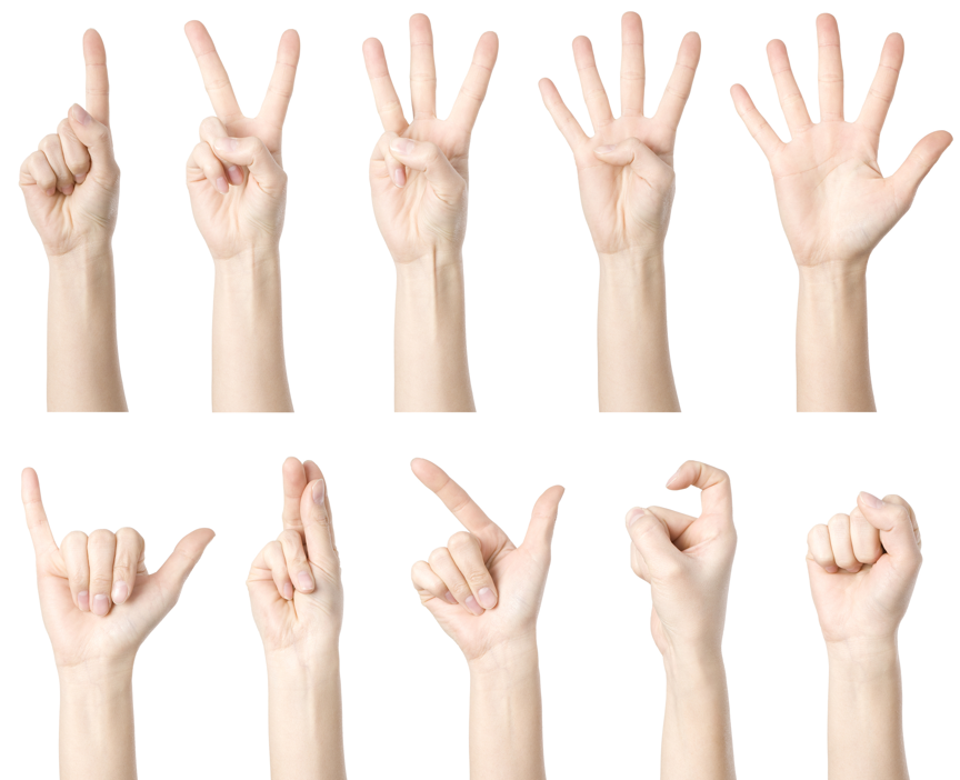 图片来源@视觉中国