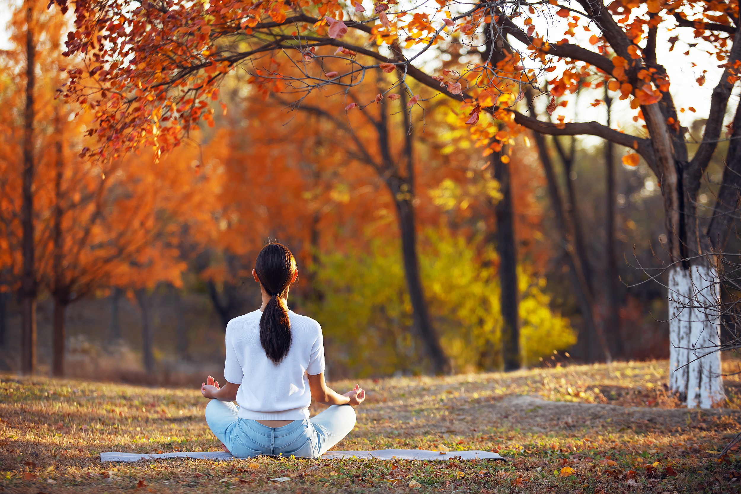 图片来源@视觉中国