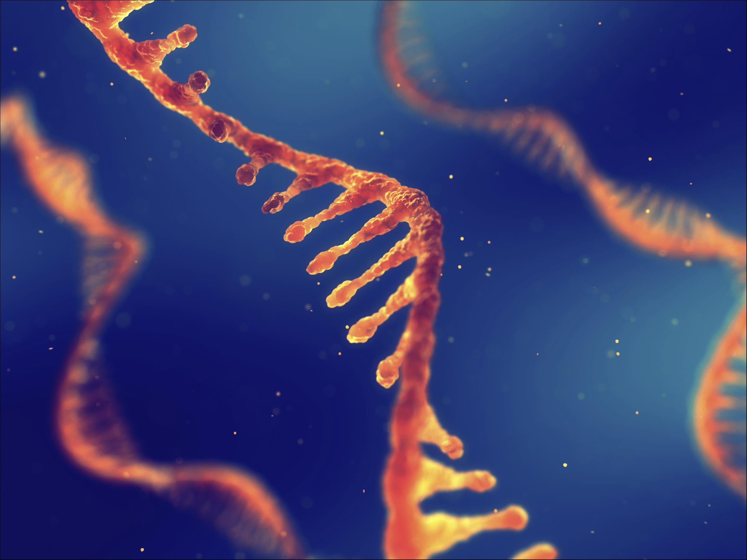 mRNA技术斩获诺奖，国内企业抢跑狂犬疫苗赛道、追赶肿瘤治疗研发 | 钛媒体焦点