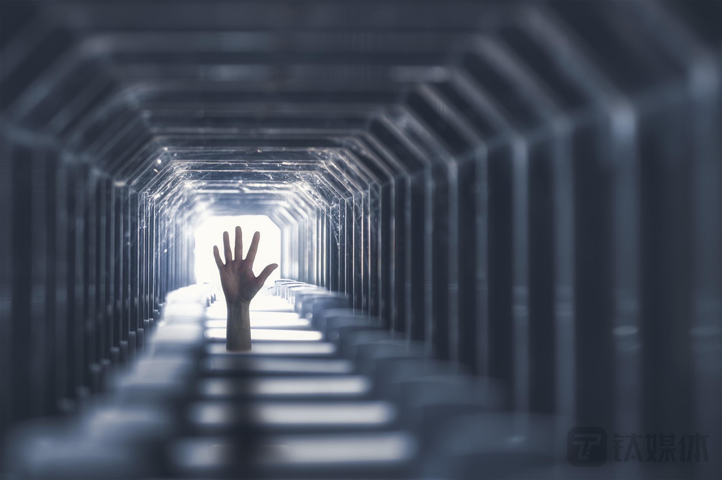 鹏鼎控股：困于“果链” 的全球PCB龙头，破局之路艰难