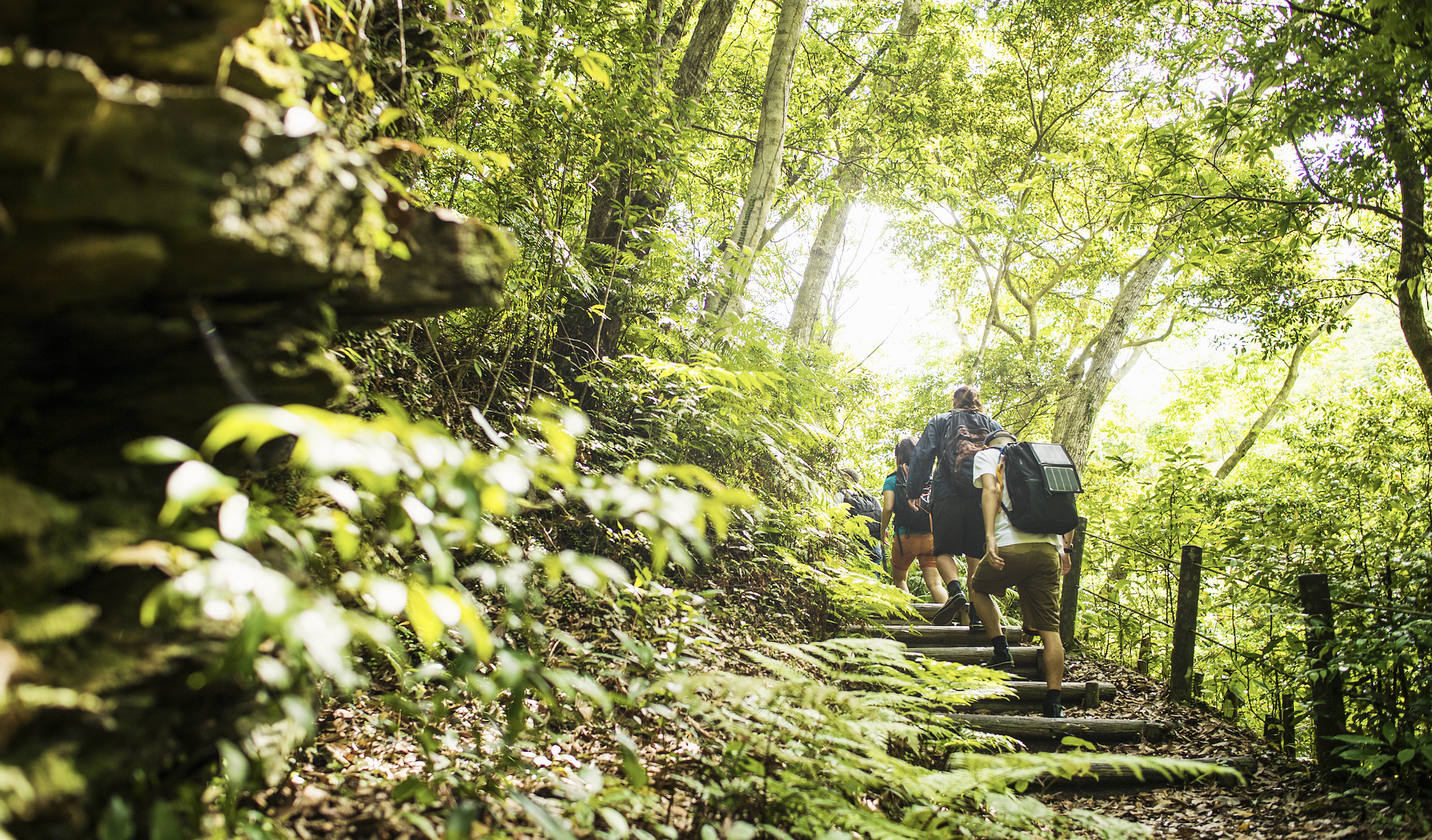 图片来源@视觉中国