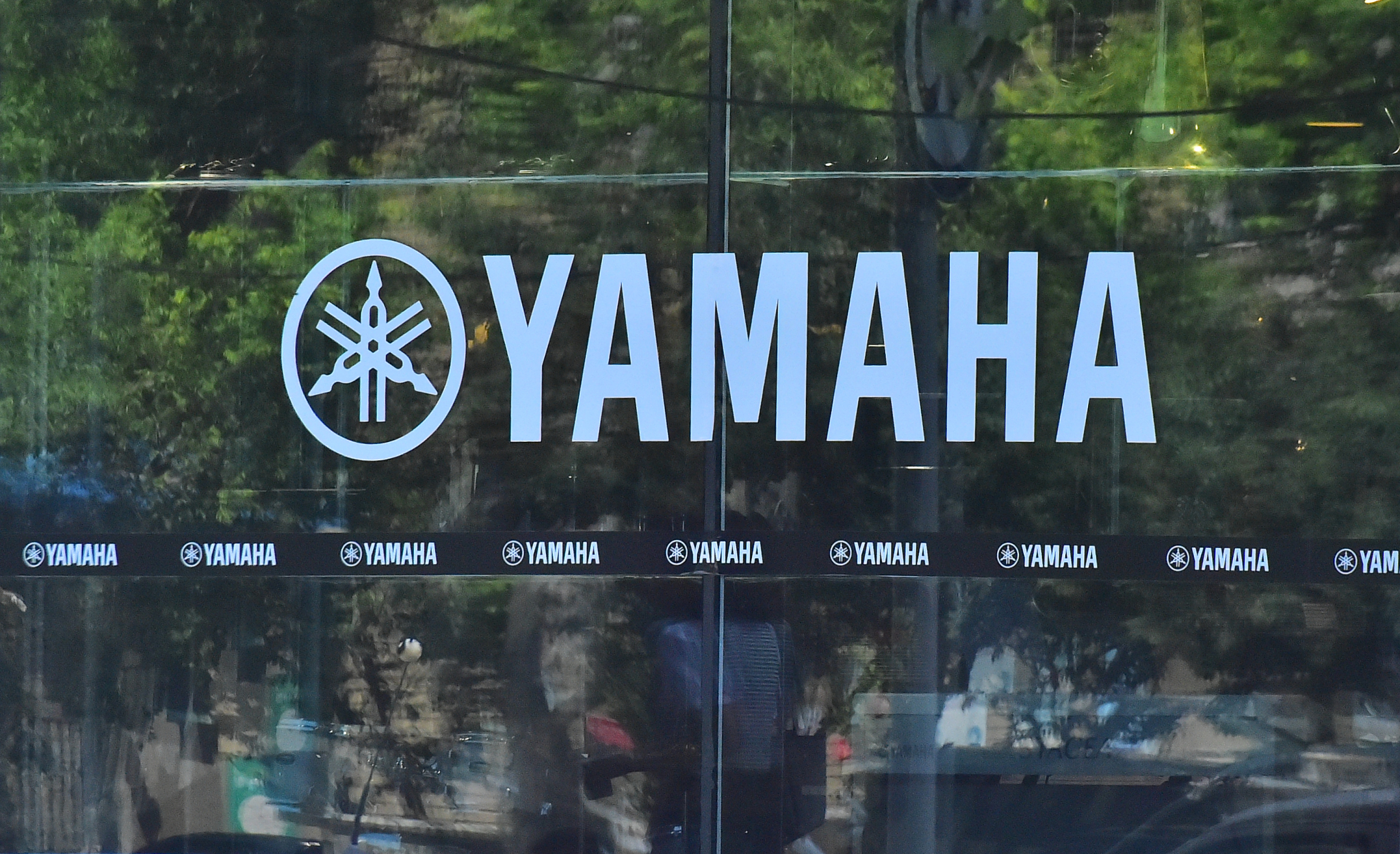 图片来源@视觉中国