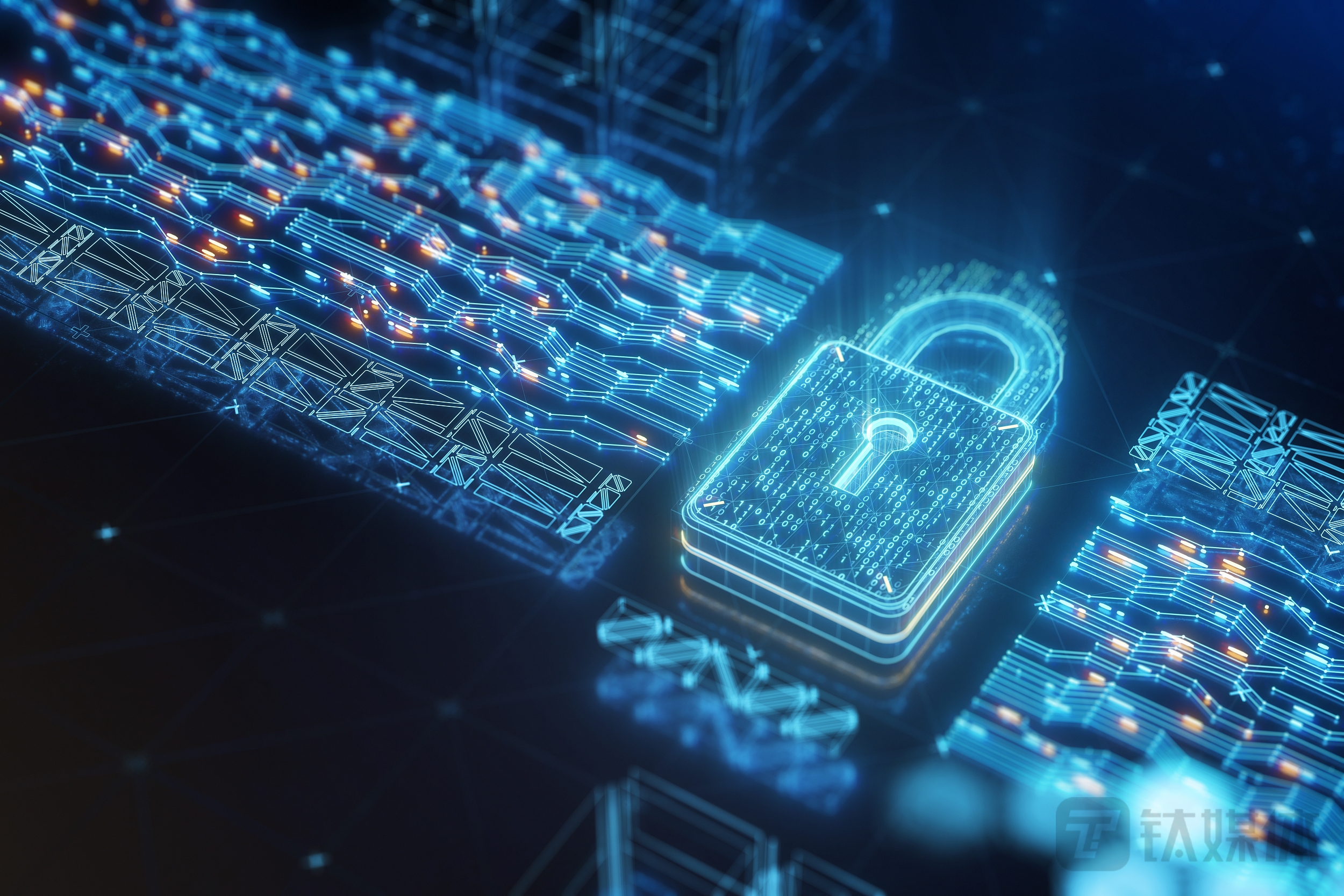 图源：视觉中国