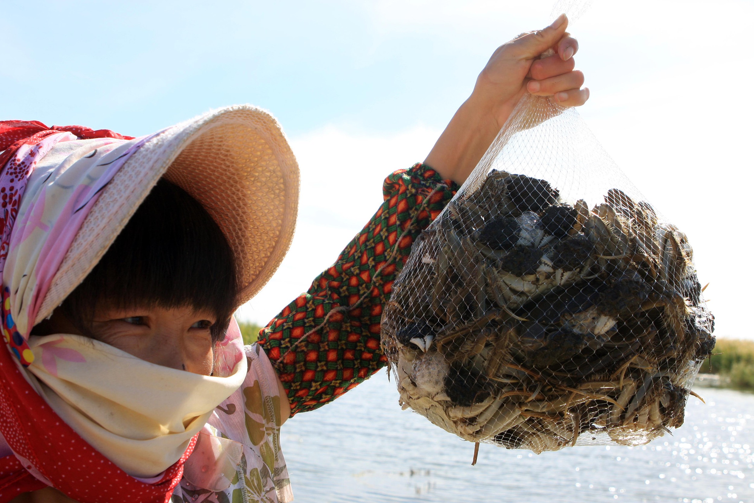 图片来源@视觉中国