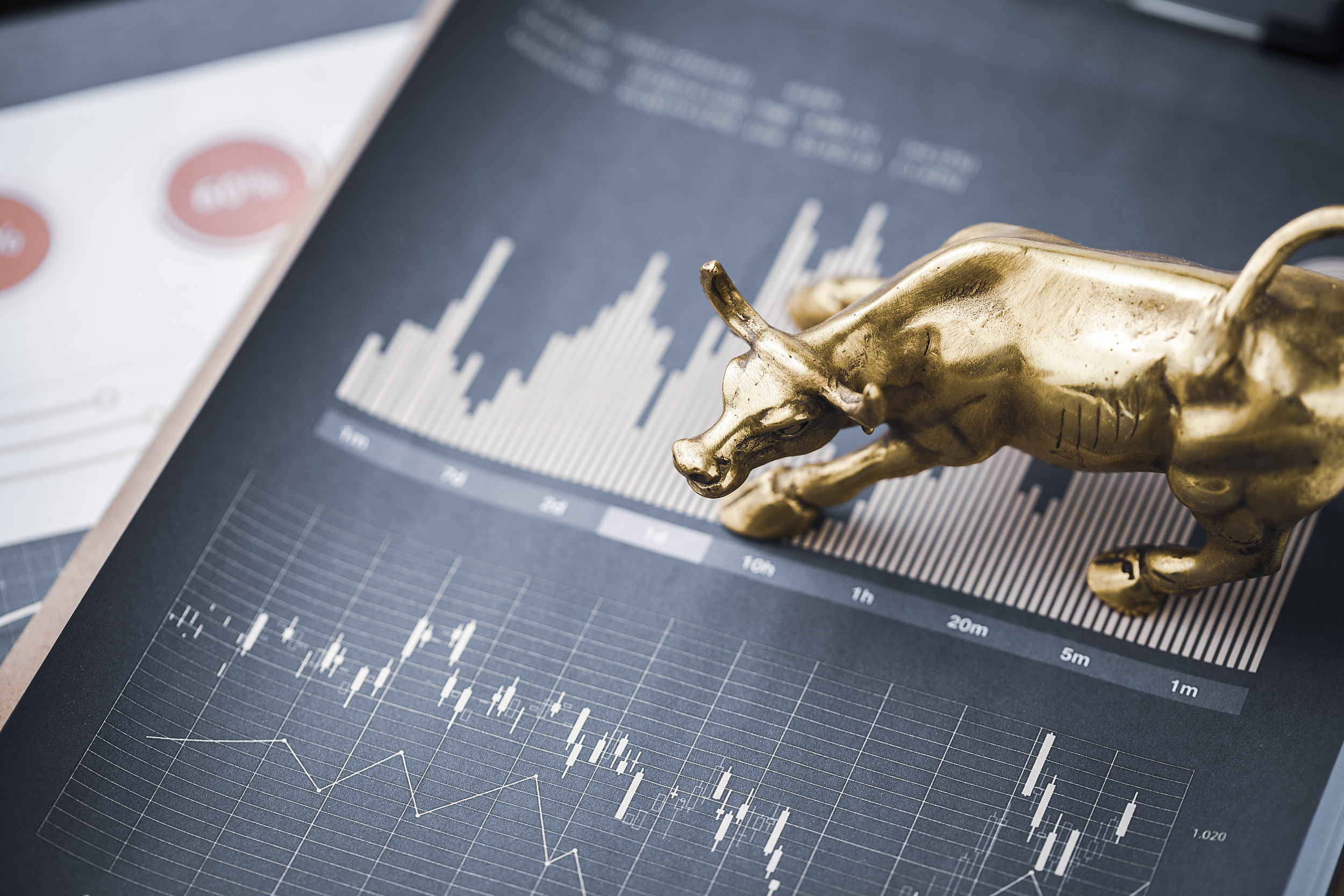 图片来源：视觉中国