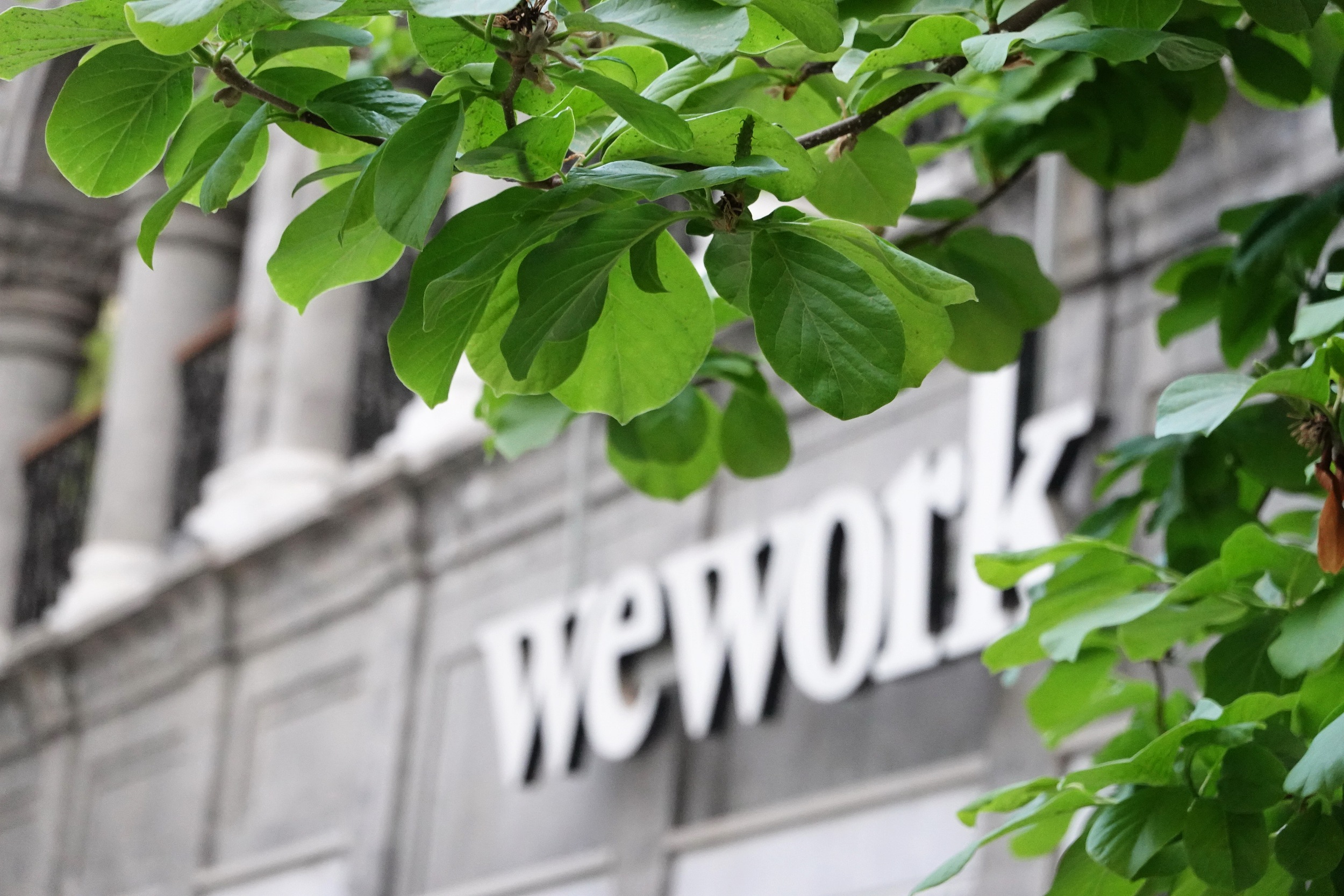 图片来源@视觉中国