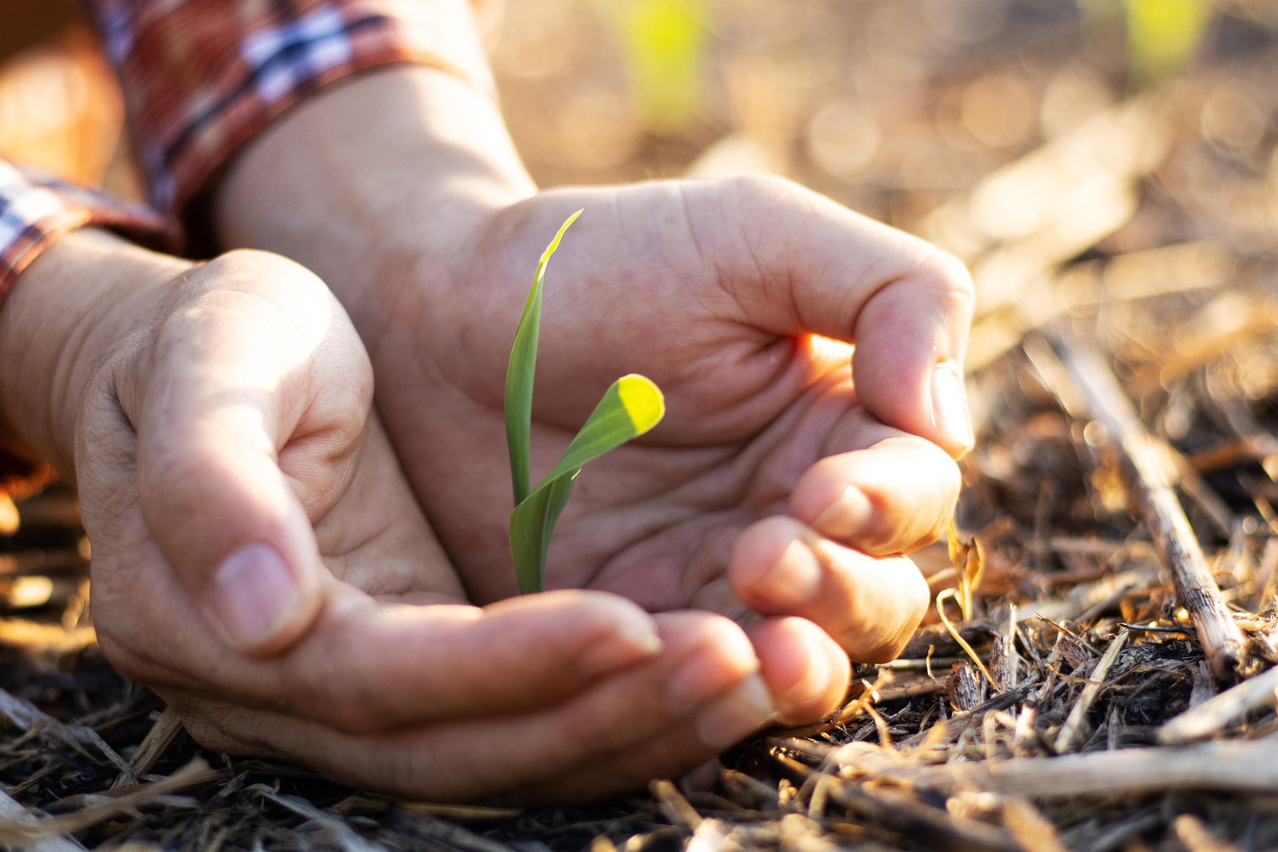 【钛晨报】2024年中央一号文件公布，提出推进乡村全面振兴“路线图”；中共中央、国务院：启动实施第二轮土地承包到期后再延长30年整省试点；李强签署国务院令，公布《煤矿安全生产条例》
