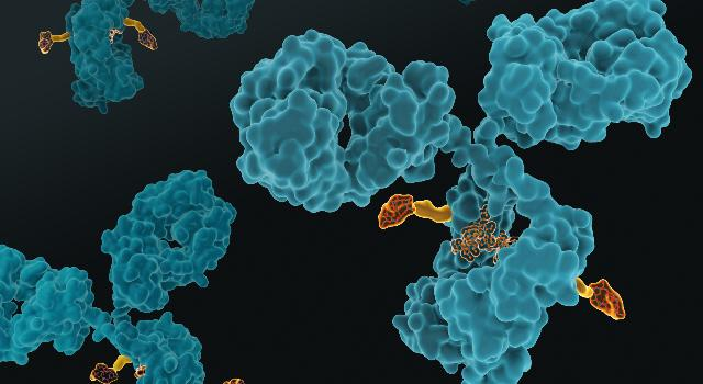 瑞士生物科技公司Araris Biotech研发新型肽连接技术，提升ADC药物药效与稳定性 | 瑞士创新100强