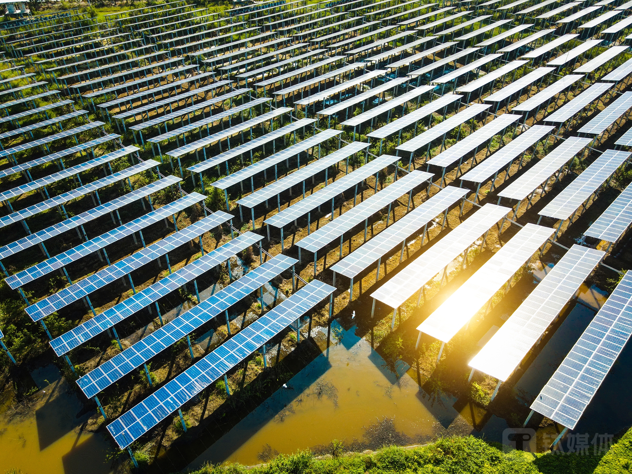 图源：视觉中国