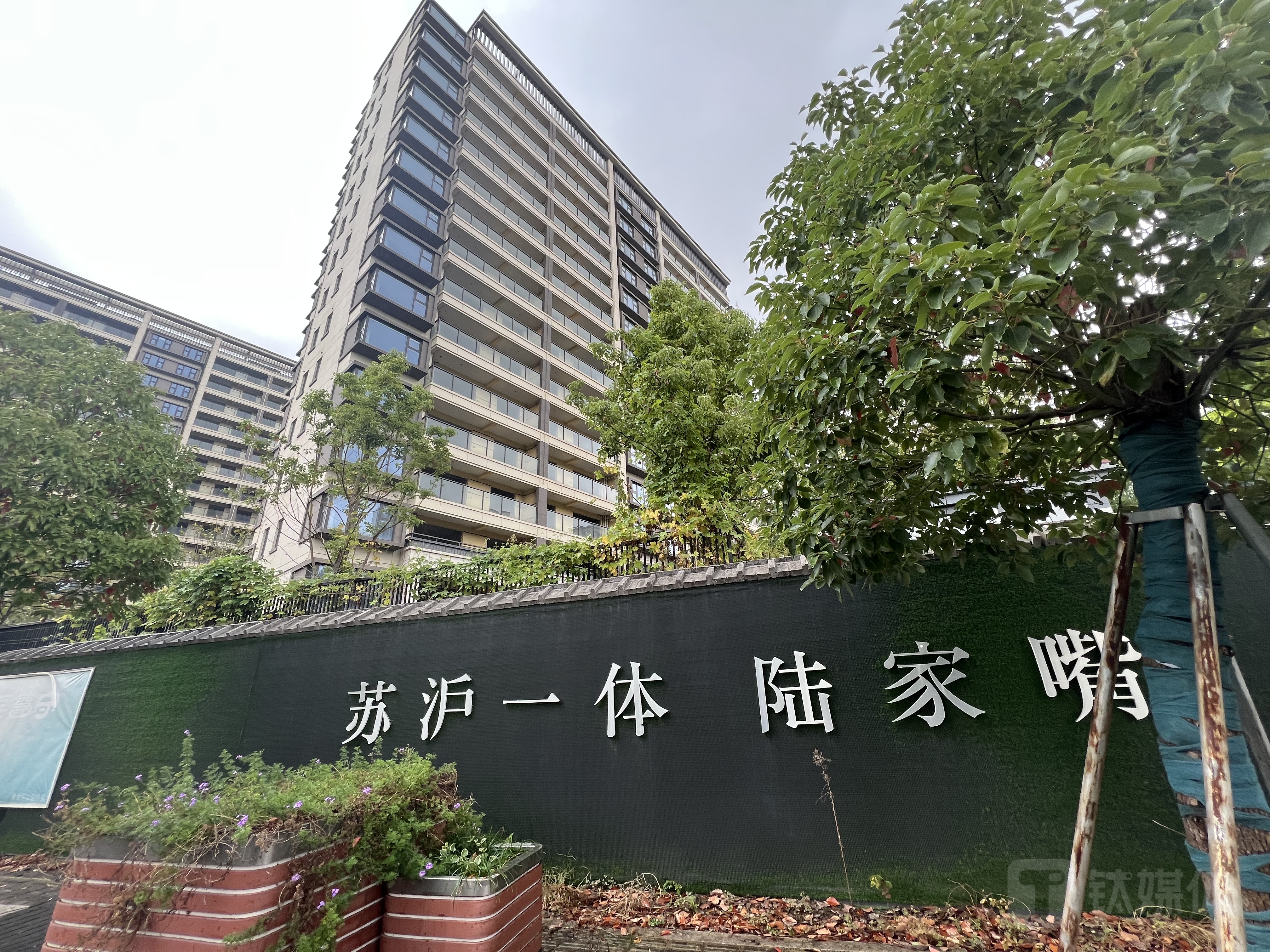 图源：作者拍摄