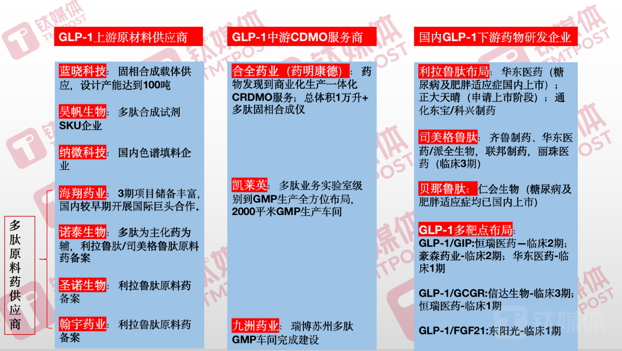GLP-1药物产业链图，来源于西南证券研究中心、上市公司公告、医药魔方等，钛媒体APP制图