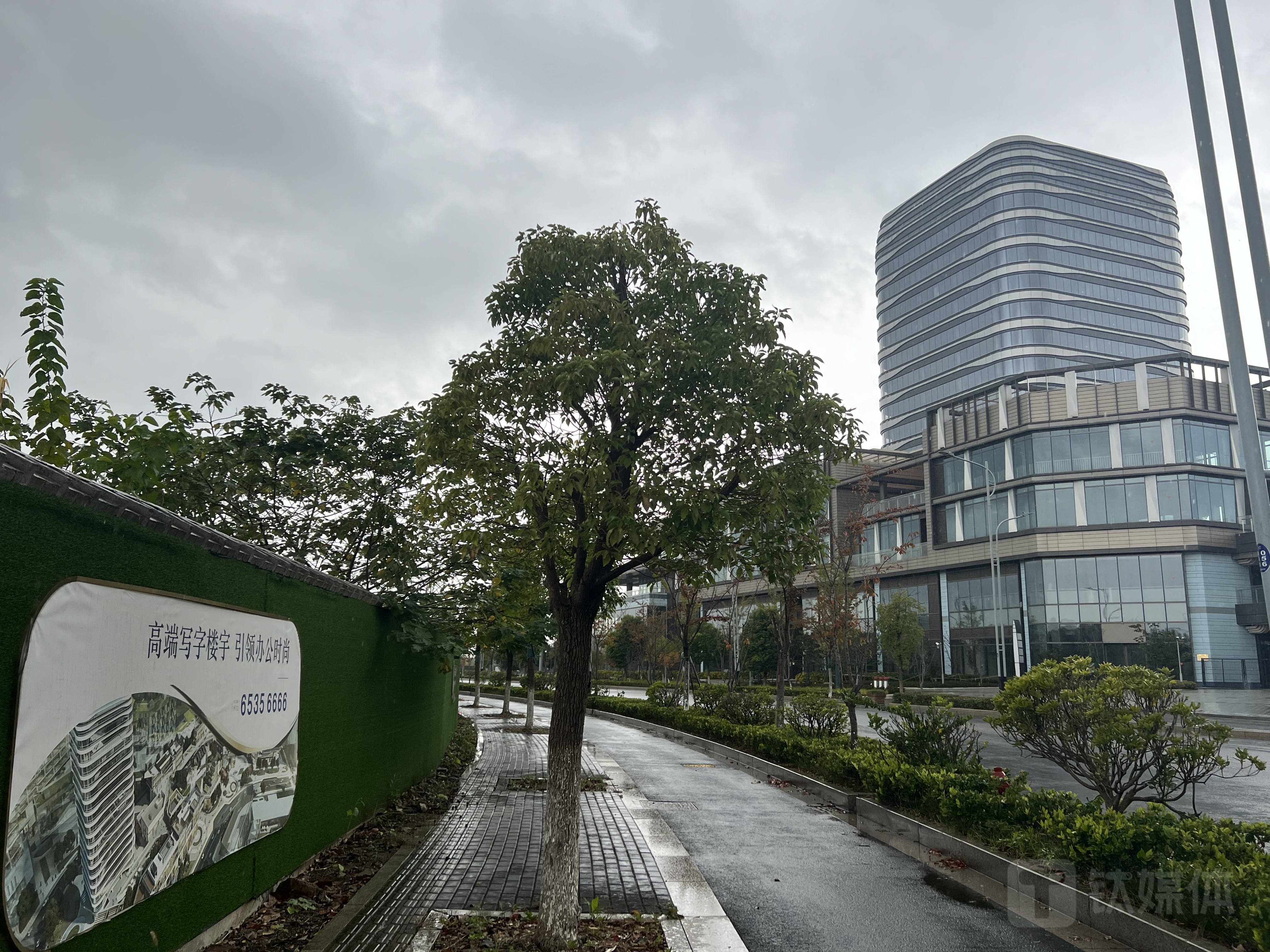 图源：作者拍摄