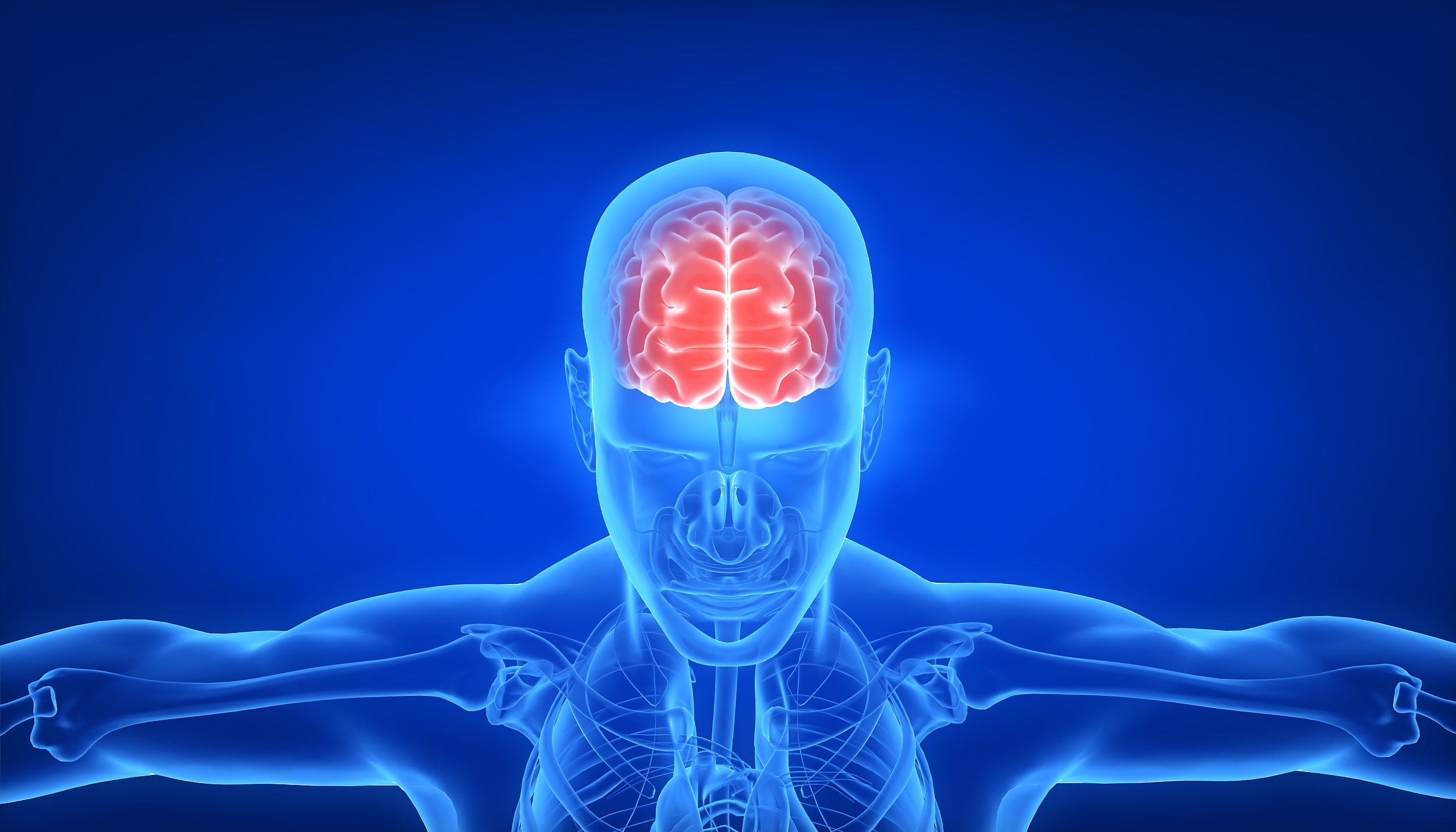 图片来源@视觉中国