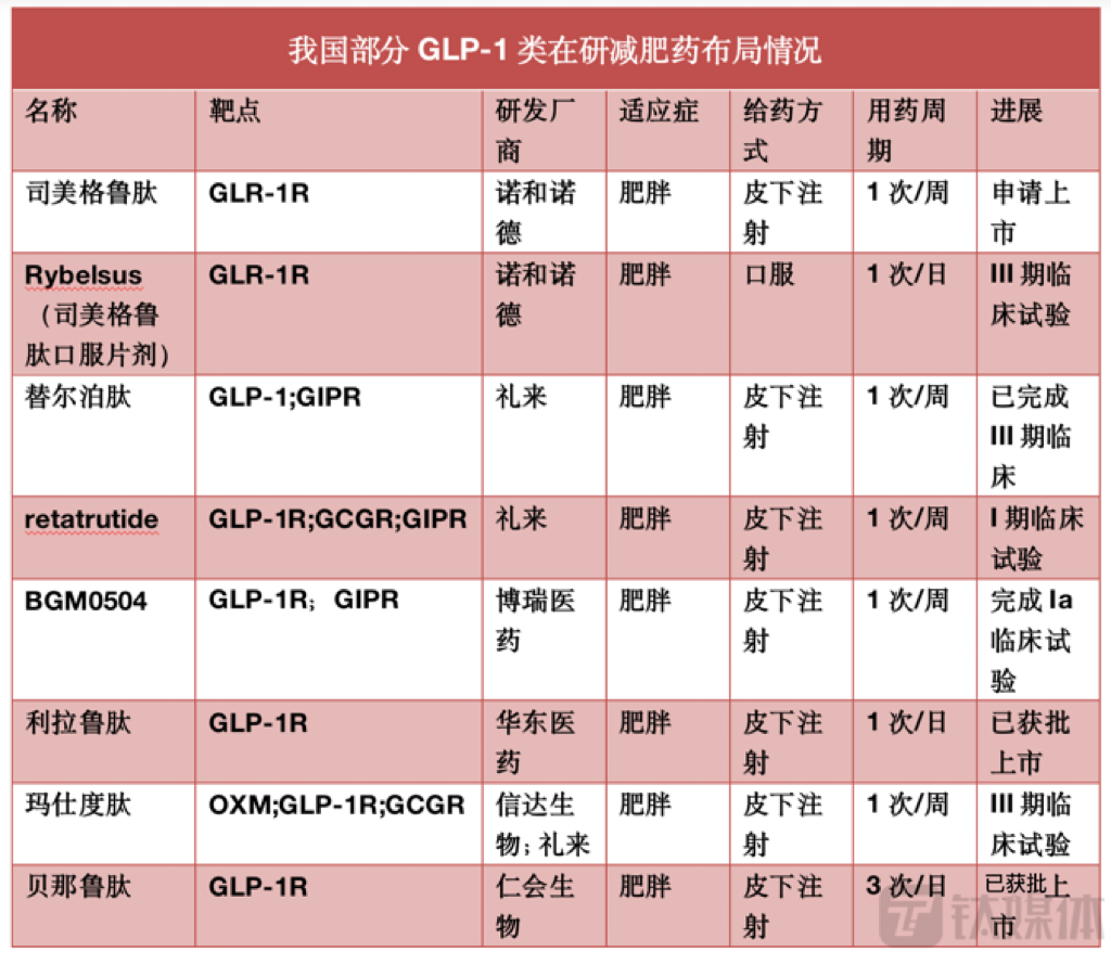 国内部分GLP-1类药物在研进展，来源于医药魔方、德邦证券及公司公告等，钛媒体APP制图